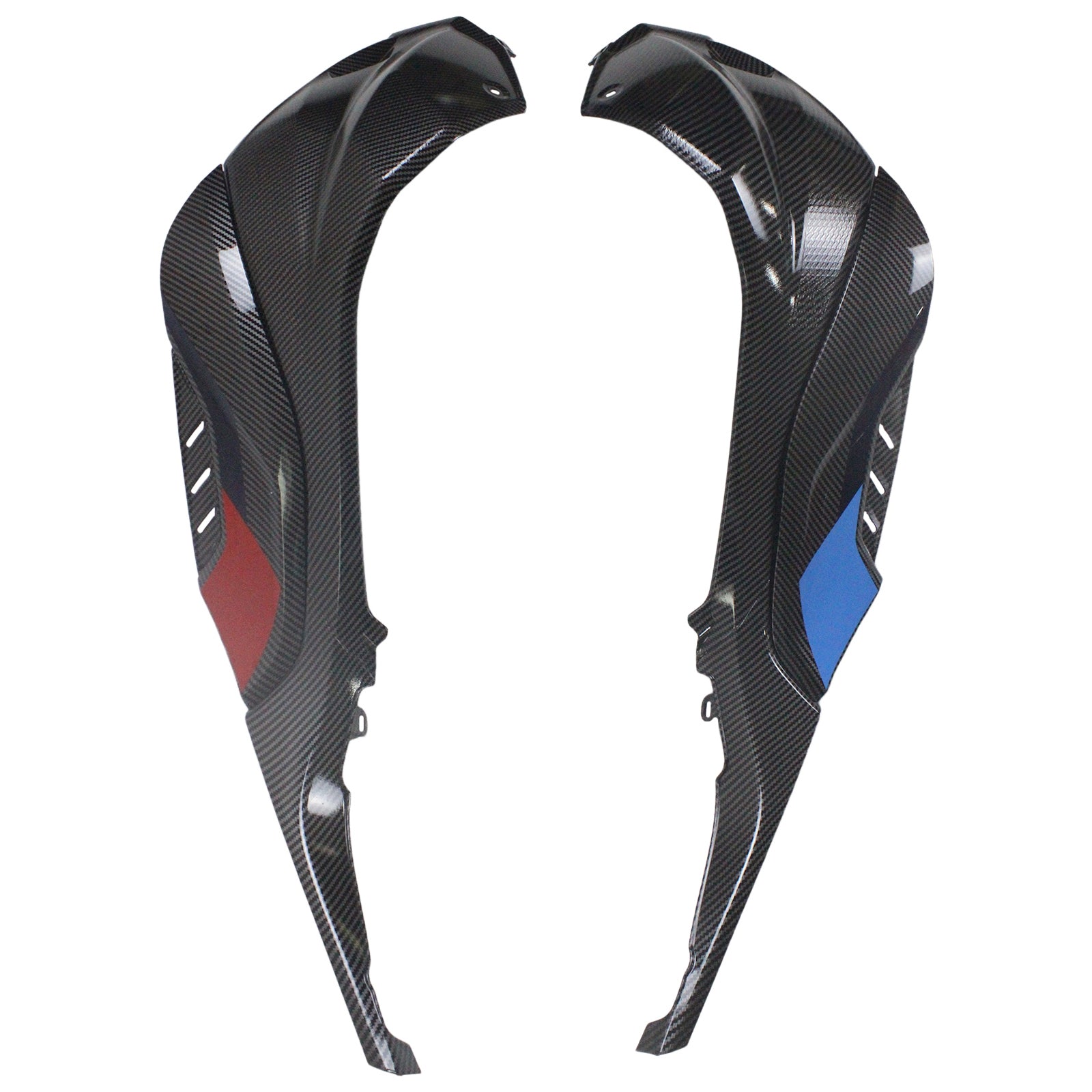 2023-2024 BMW S1000RR INSIMECTION CAURING Kit Bodywork Plastic Abs