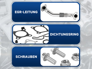 2010-2014 Honda CR-V 2.2 iDTEC EGR-rörreparationssats N22B iDTEC-motorer 18725-RL0-G02