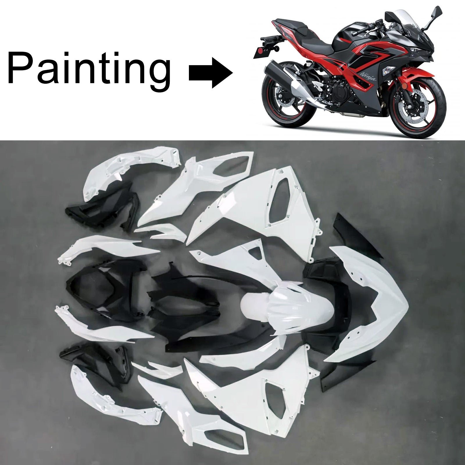 2024-2025 Kawasaki Ninja 500 Injection Fairing Kit Bodywork ABS
