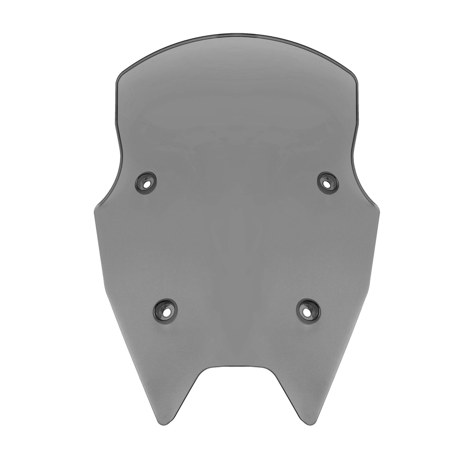 2015-2018 BMW R1200RS Windshield WindScreen