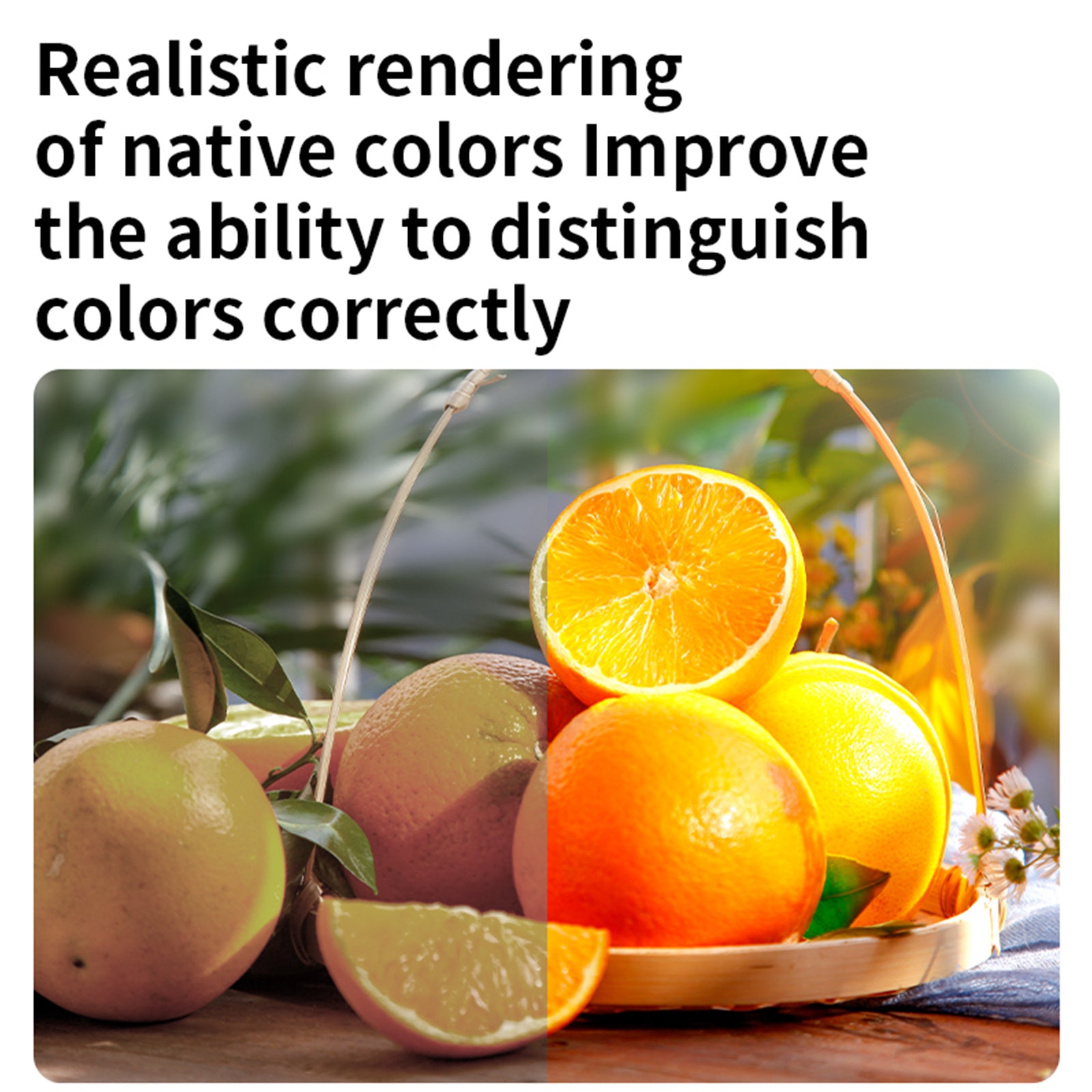 D02 RGB Fill Light Video Camera Mobiltelefon live i full färg LED-fyllningsljus