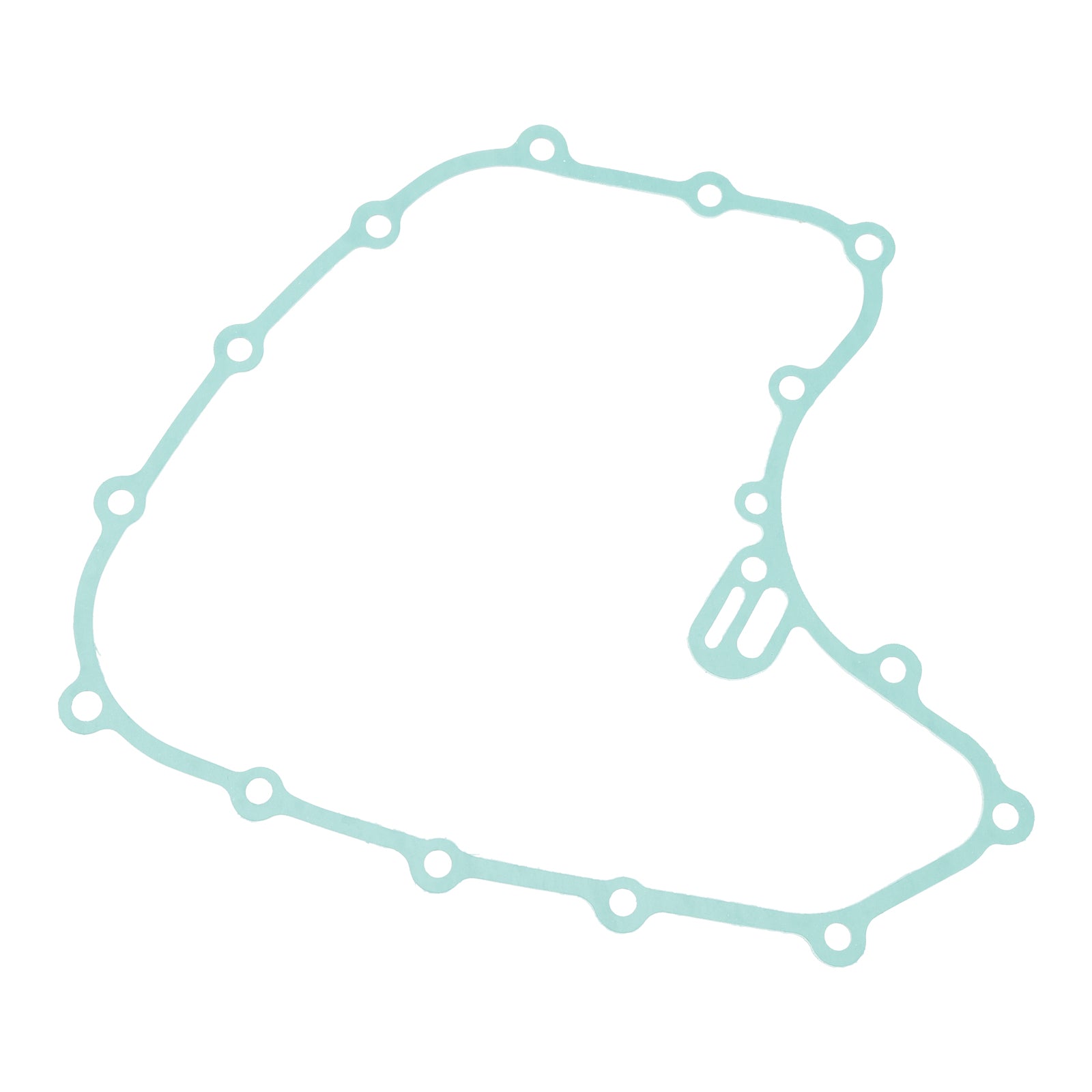 Magneto Coil Stator + regulátor napätia + tesnenie Assy pre vojvodu 250 390 2021