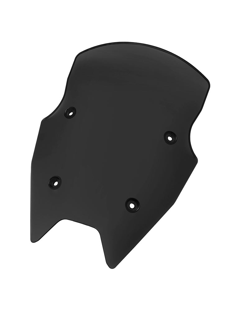 2015-2018 BMW R1200RS Windshield WindScreen