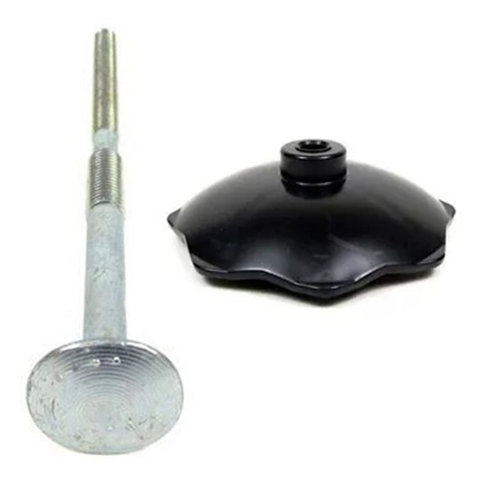 Retenue de pneu de secours + boulon pour Chrysler 300 Dodge Charger 2005-23 52059160AC