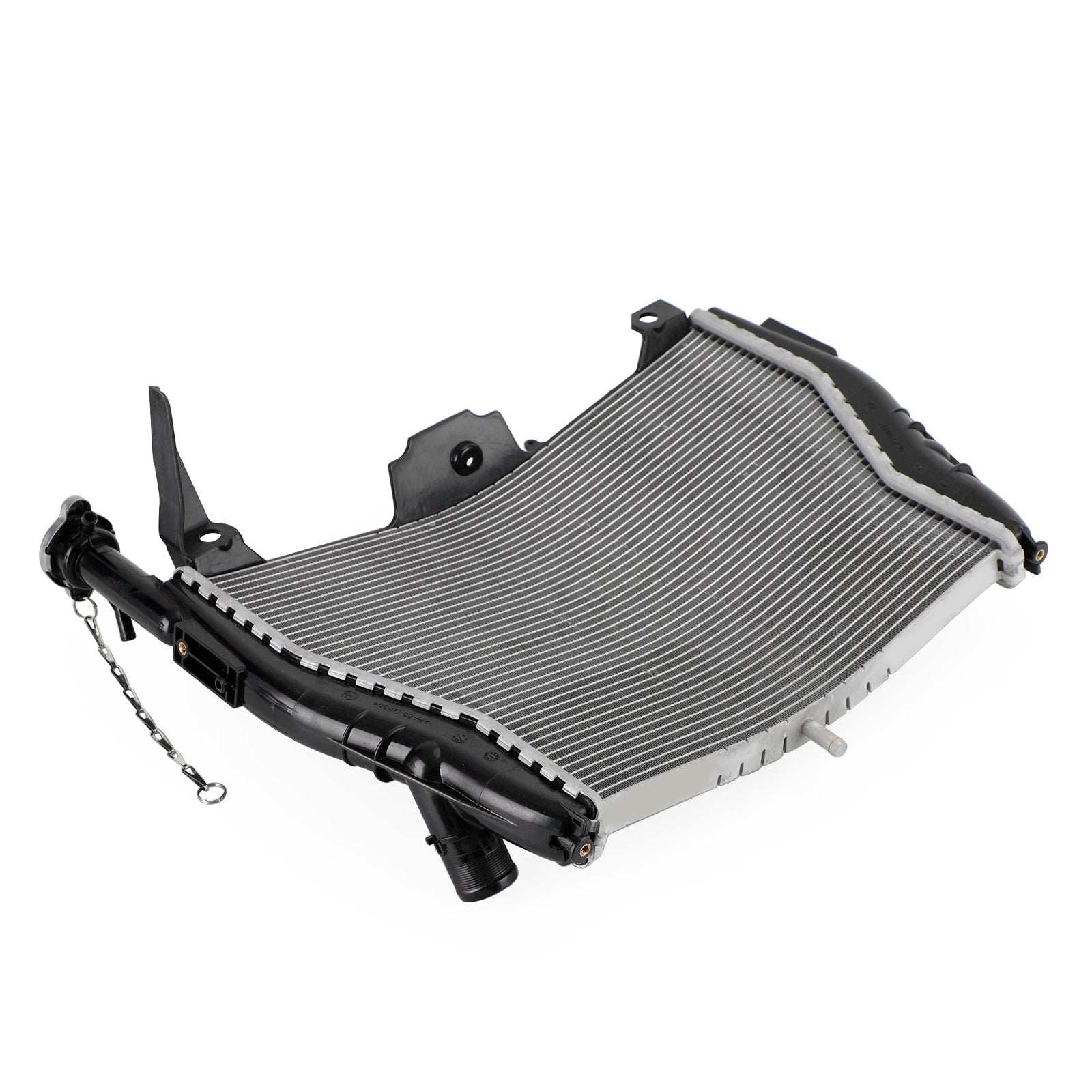 Refroidisseur de radiateur de moteur BMW S1000RR 2009-2019