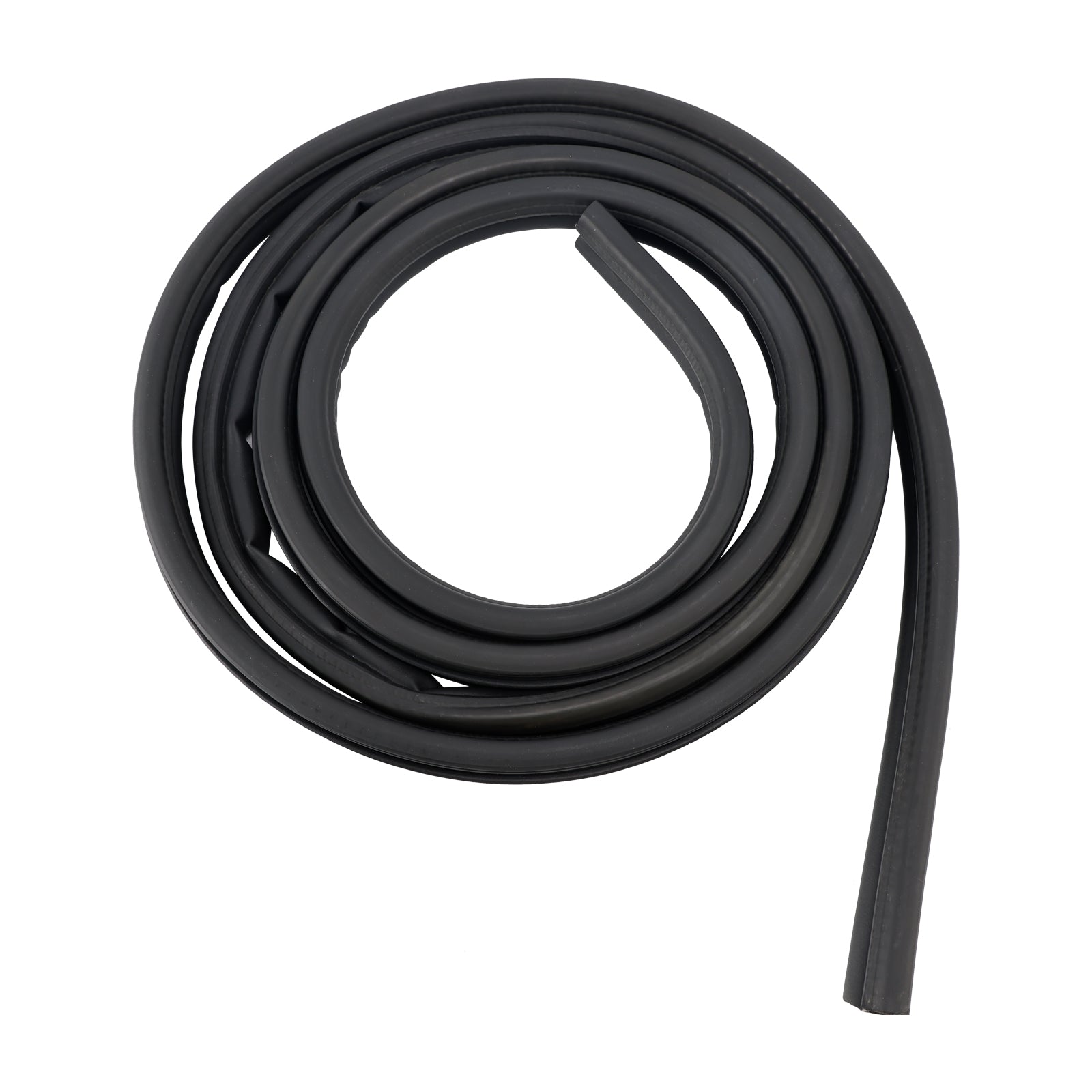 2002-2008 Dodge Ram 1500 2500 3500 pickup truck Front Door Weatherstrip Seal