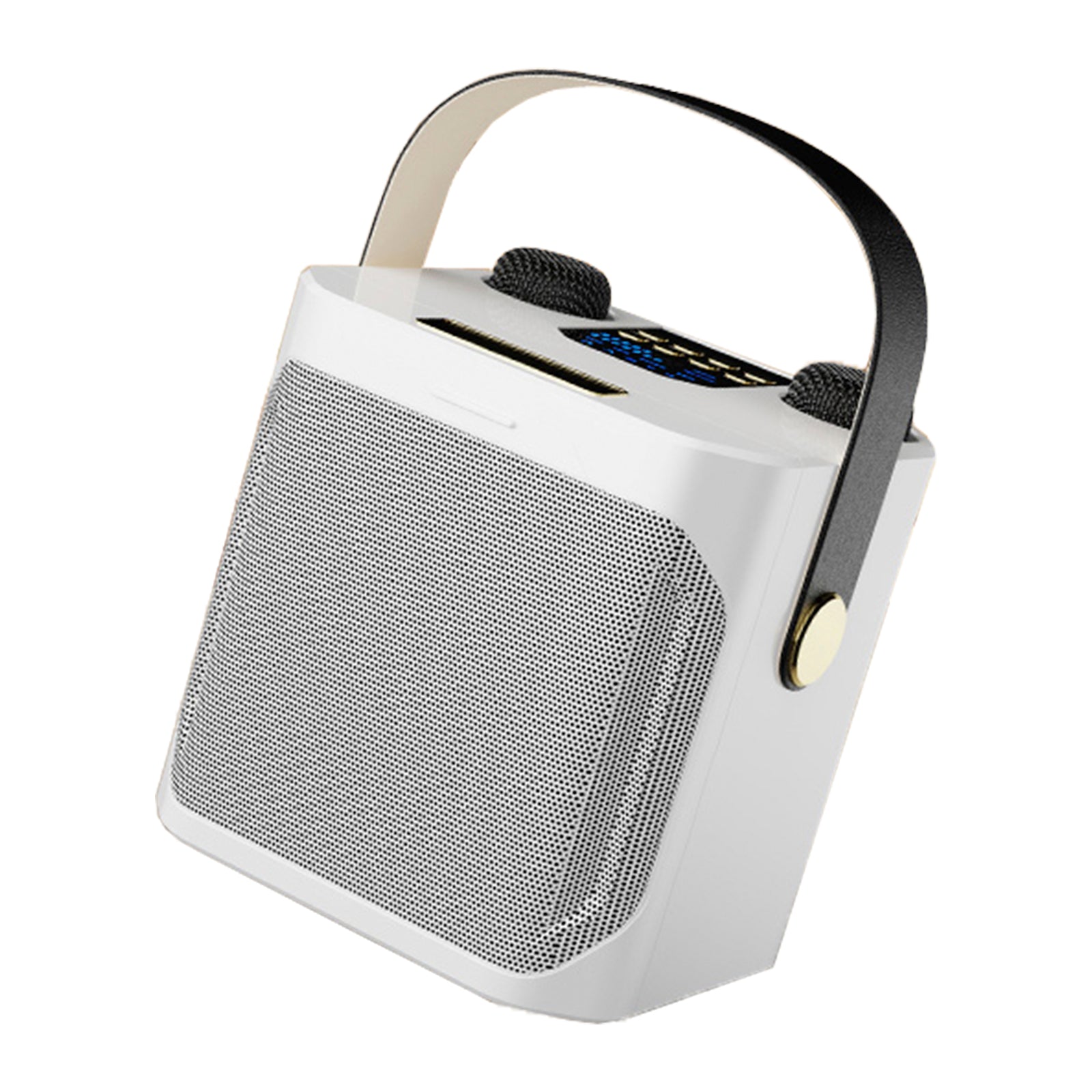 Wireless Bluetooth Speaker Dual Microphone Karaoke Home Portable Karaoke Speaker