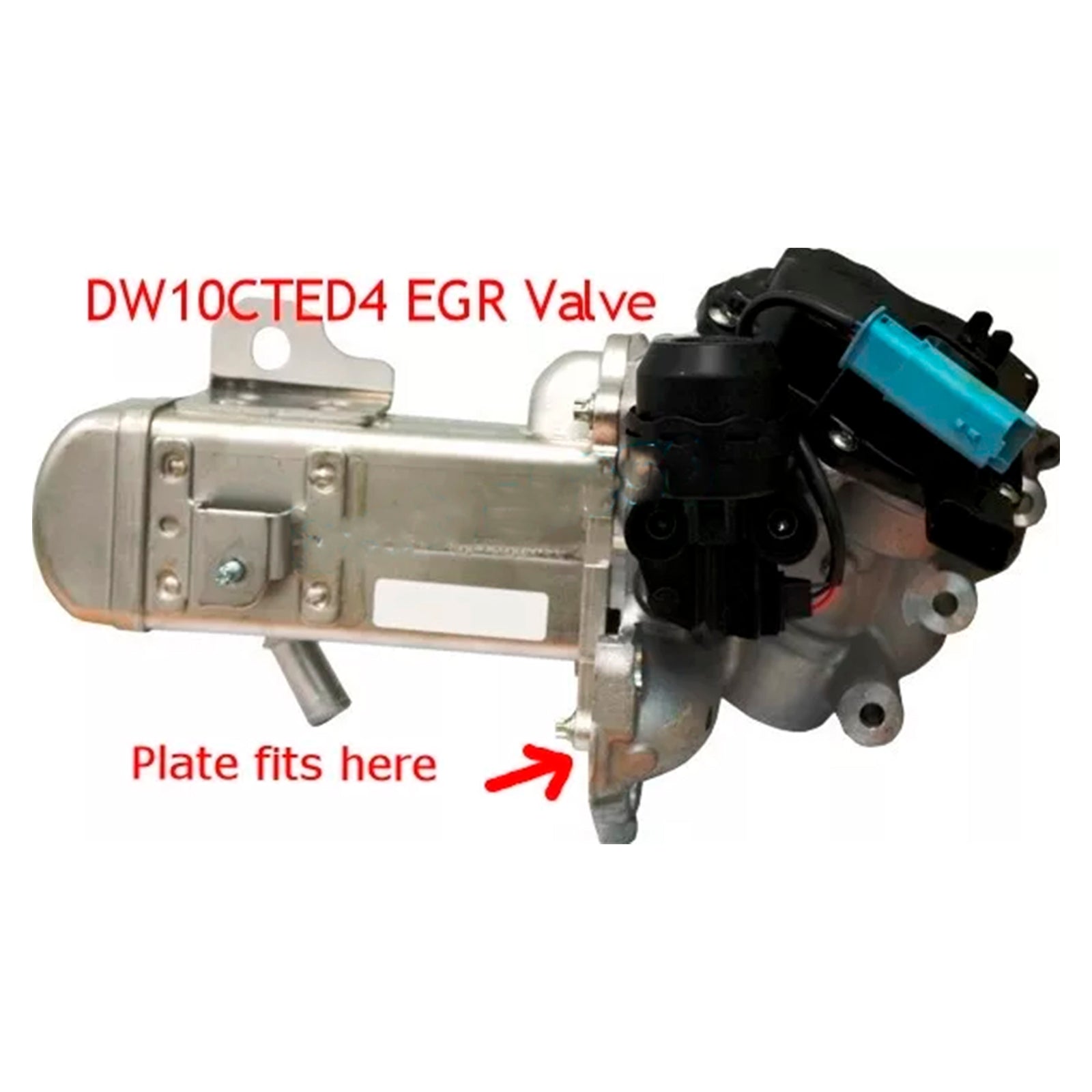 Plaque d'obturation de vanne EGR pour Ford Mondeo Kuga Focus 2.0L TDCi Euro5 DW10CTED4