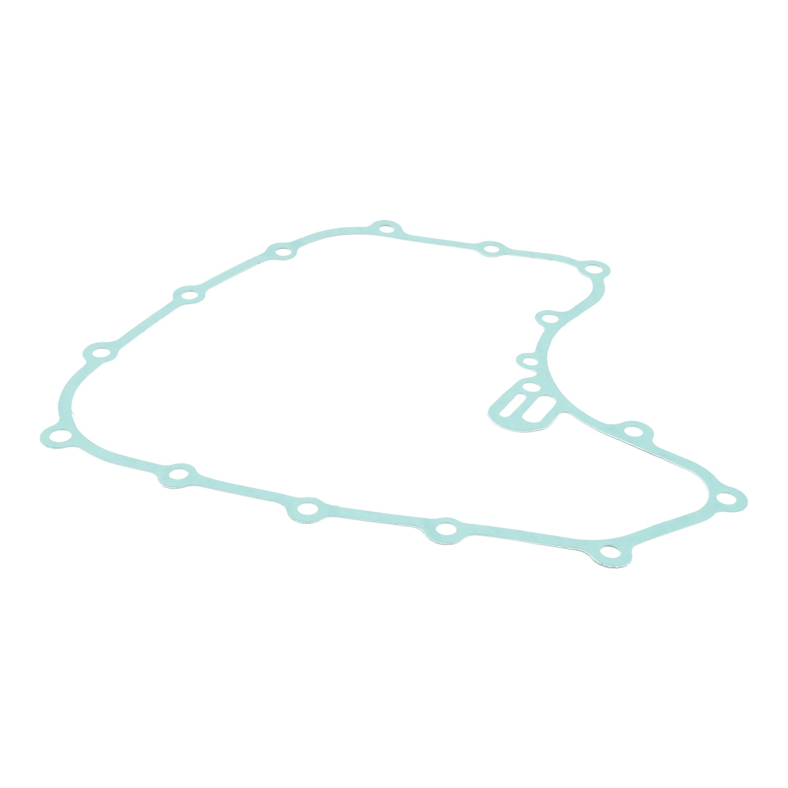 Magneto Coil Stator + regulátor napätia + tesnenie Assy pre vojvodu 250 390 2021