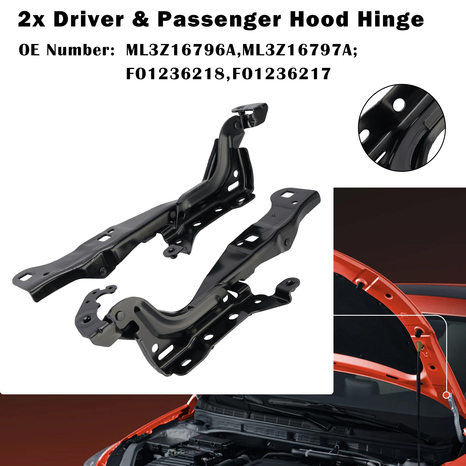 2x Driver & Passenger Hood Hinge for Ford F-150 Limited Lariat Raptor 2021-2023