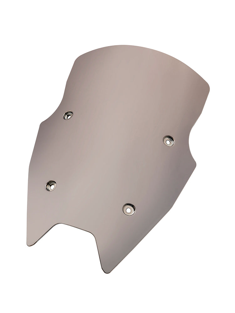 2015-2018 BMW R1200RS Windshield WindScreen