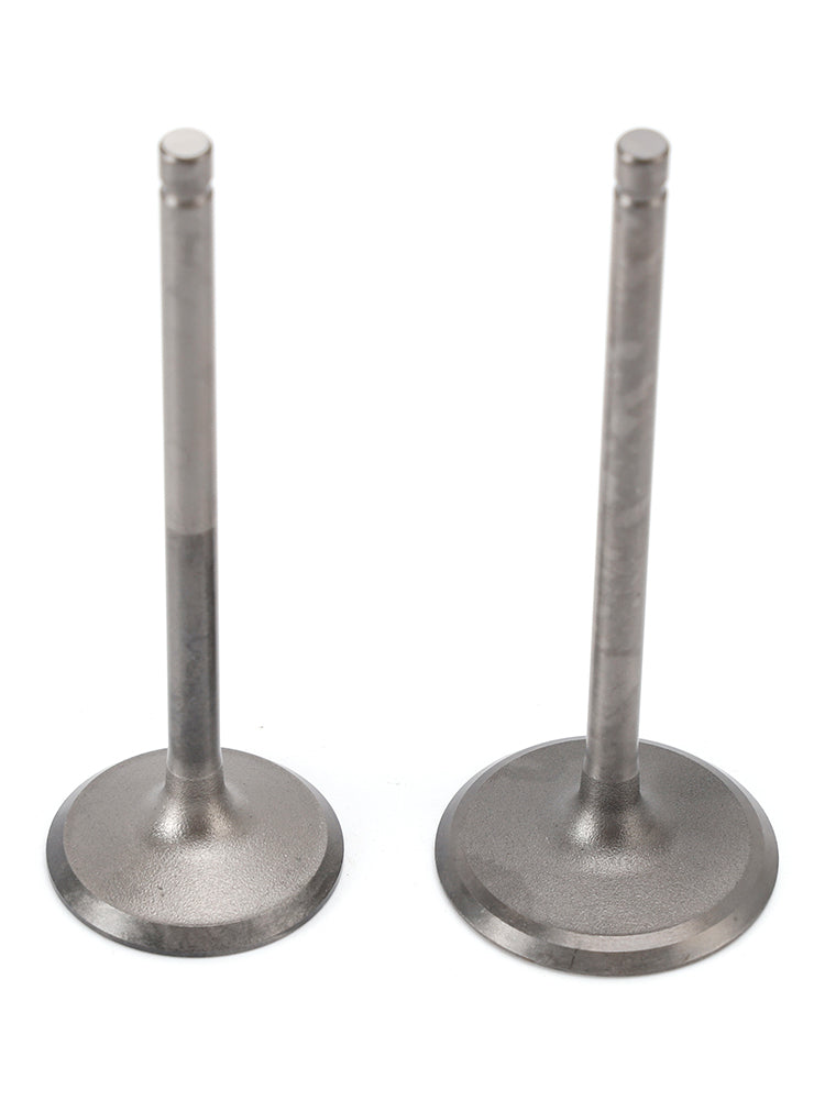 Intake & Exhaust Valve For Yamaha 200 225 250 HP 11-19 6P2-12111-10 6P2-12121-10