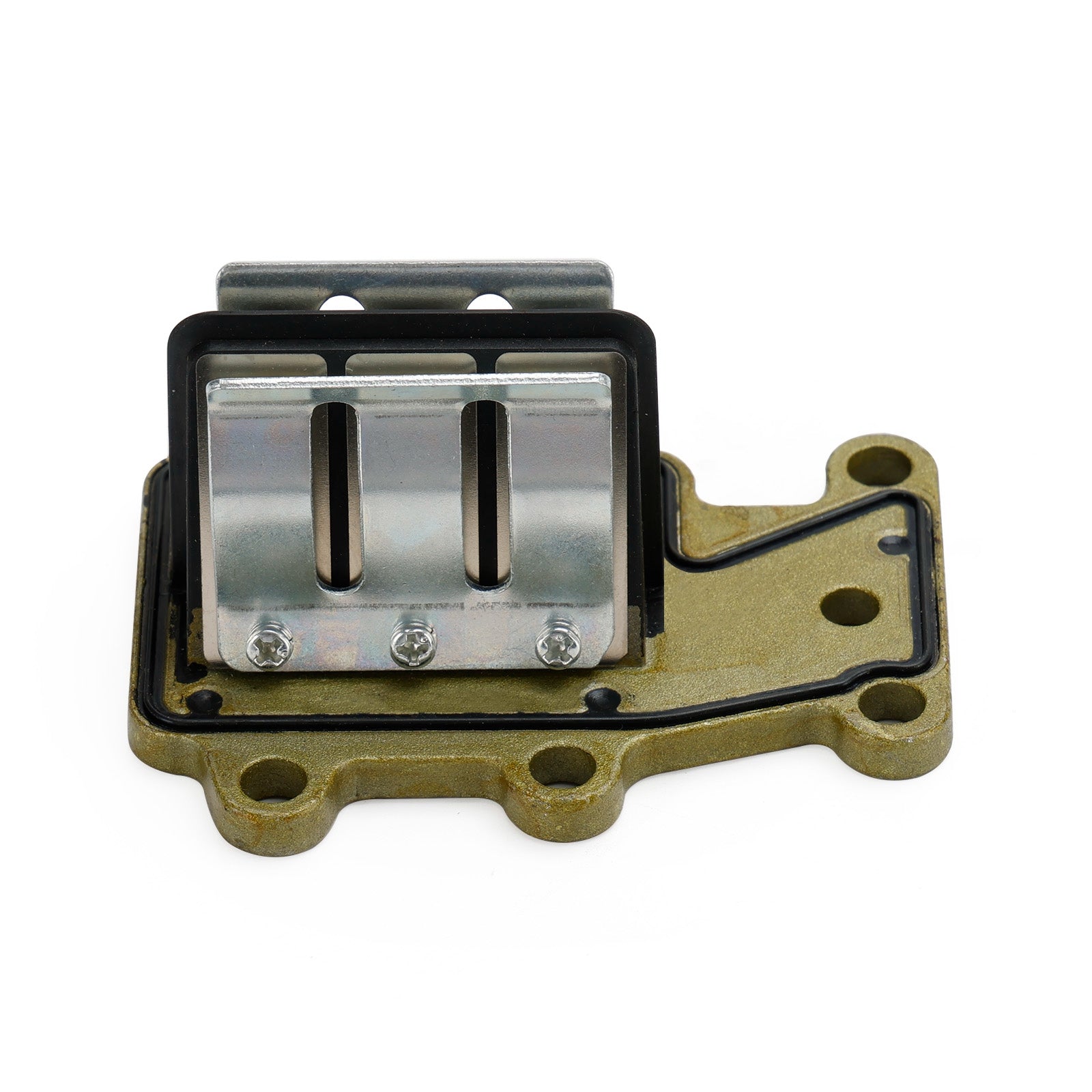 Ensemble de Valve à lames pour moteur hors-bord Yamaha 2T 9.9HP 15HP, ancienne Version