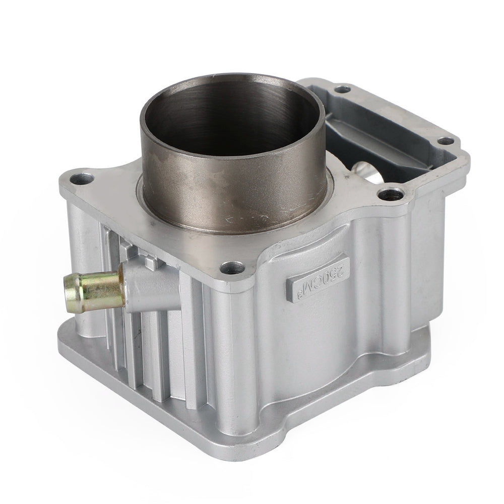 Zongshen Loncin CG250 167FMM 250cc vattenkyld cylindermotor ombyggnadssats