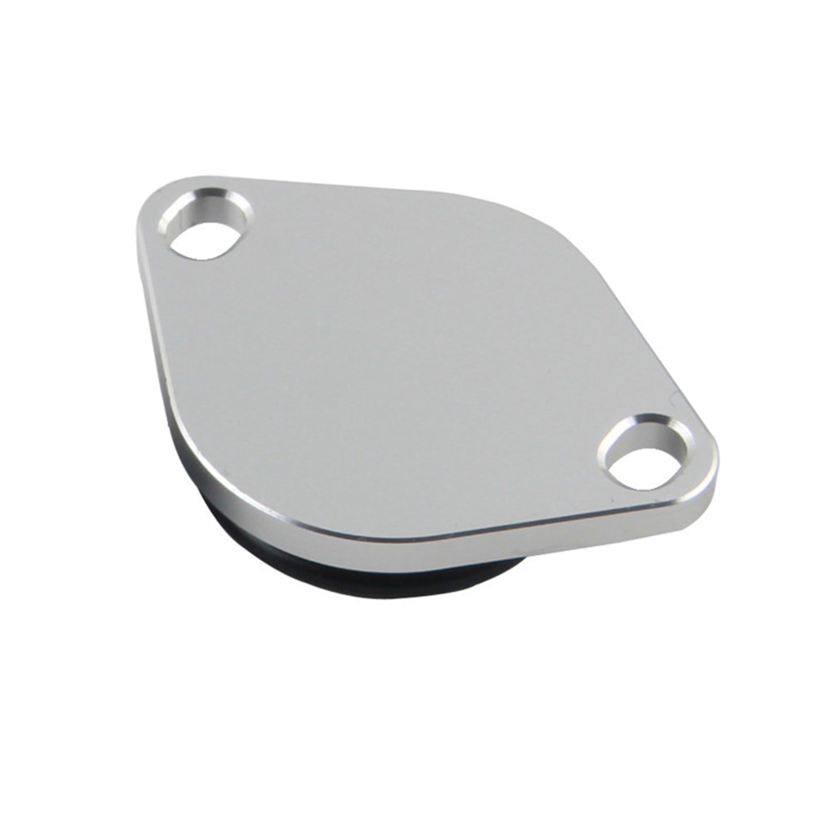 Land Rover Discovery 3 Range Rover Sport 2.7 TDV6 EGR Verwijder blokkeerplaat