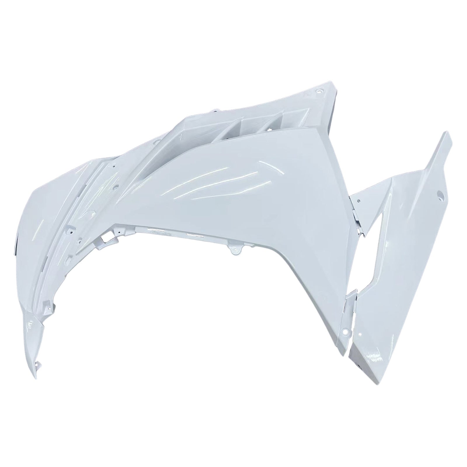 2013-2024 Kawasaki EX300/NINJA 300 Injekcia SPOTIKA KODETING PLASTNÁ ABS