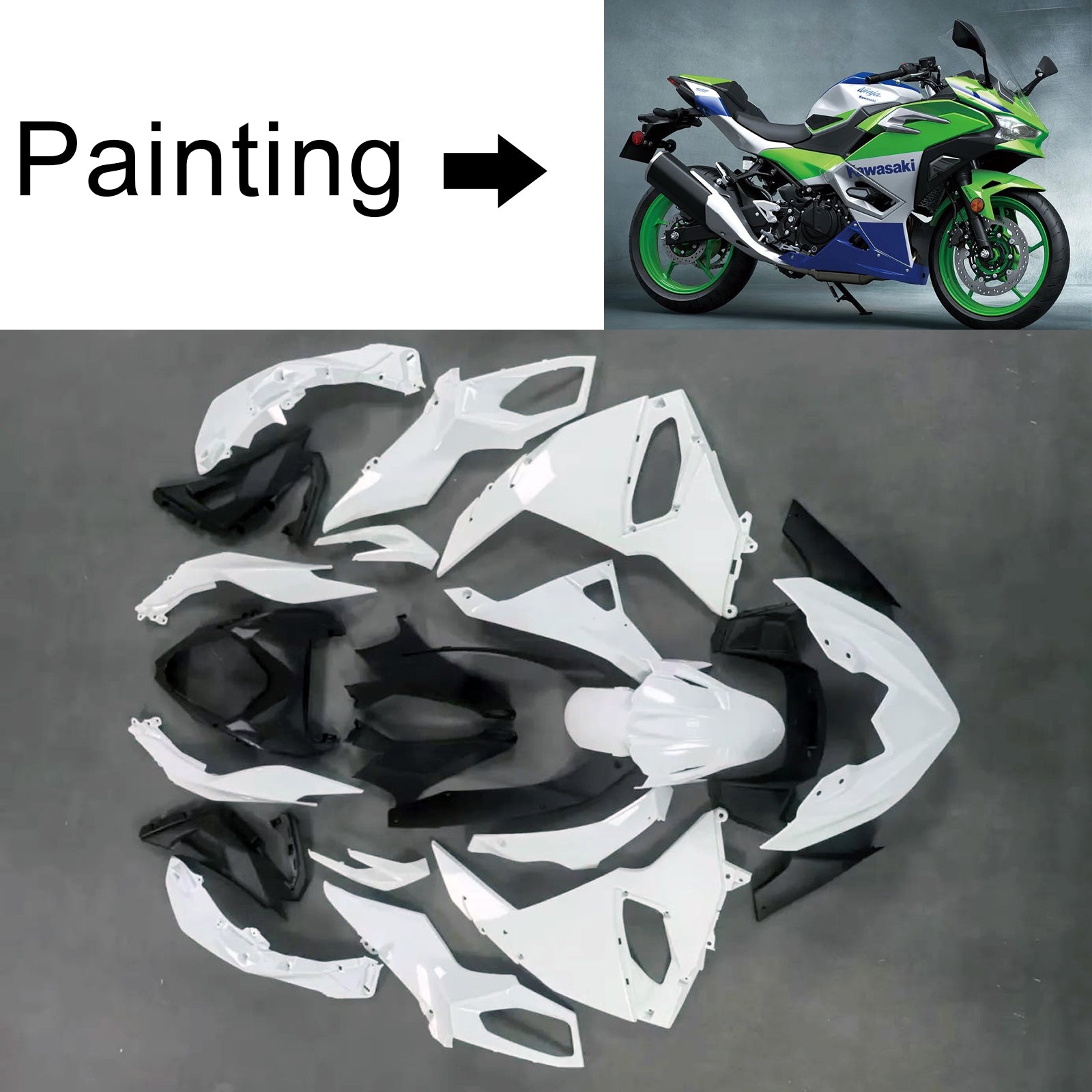 2024-2025 Kawasaki Ninja 500 Kit de carenado de inyección Carrocería ABS