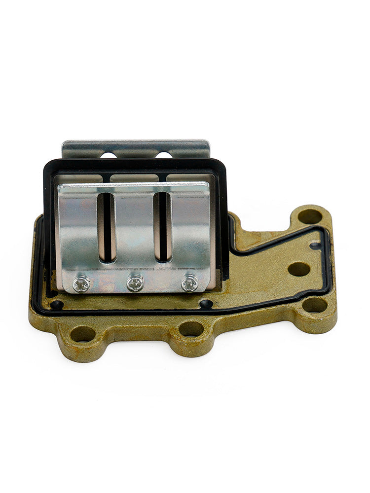 Ensemble de Valve à lames pour moteur hors-bord Yamaha 2T 9.9HP 15HP, ancienne Version