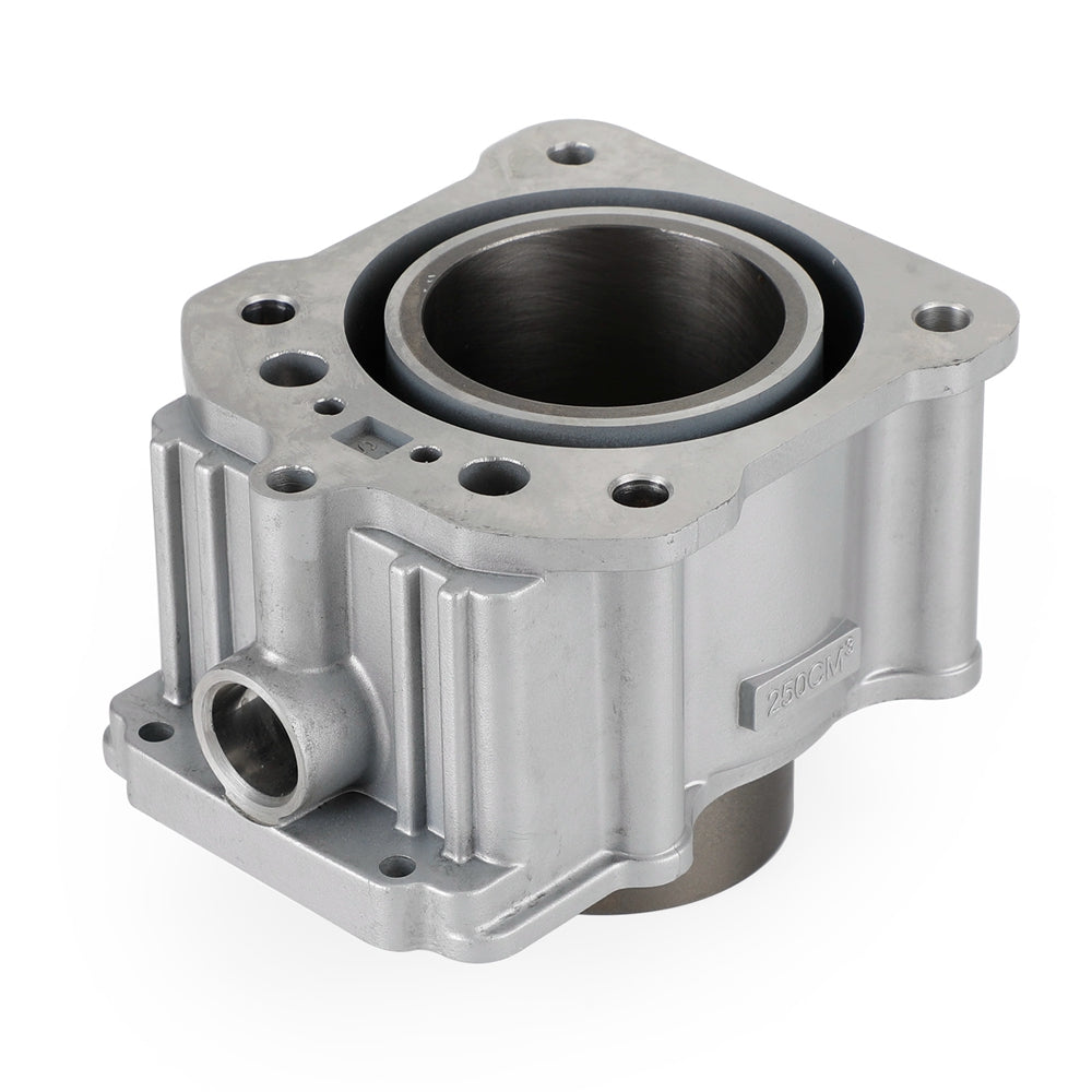 Zongshen Loncin CG250 167FMM 250cc vattenkyld cylindermotor ombyggnadssats