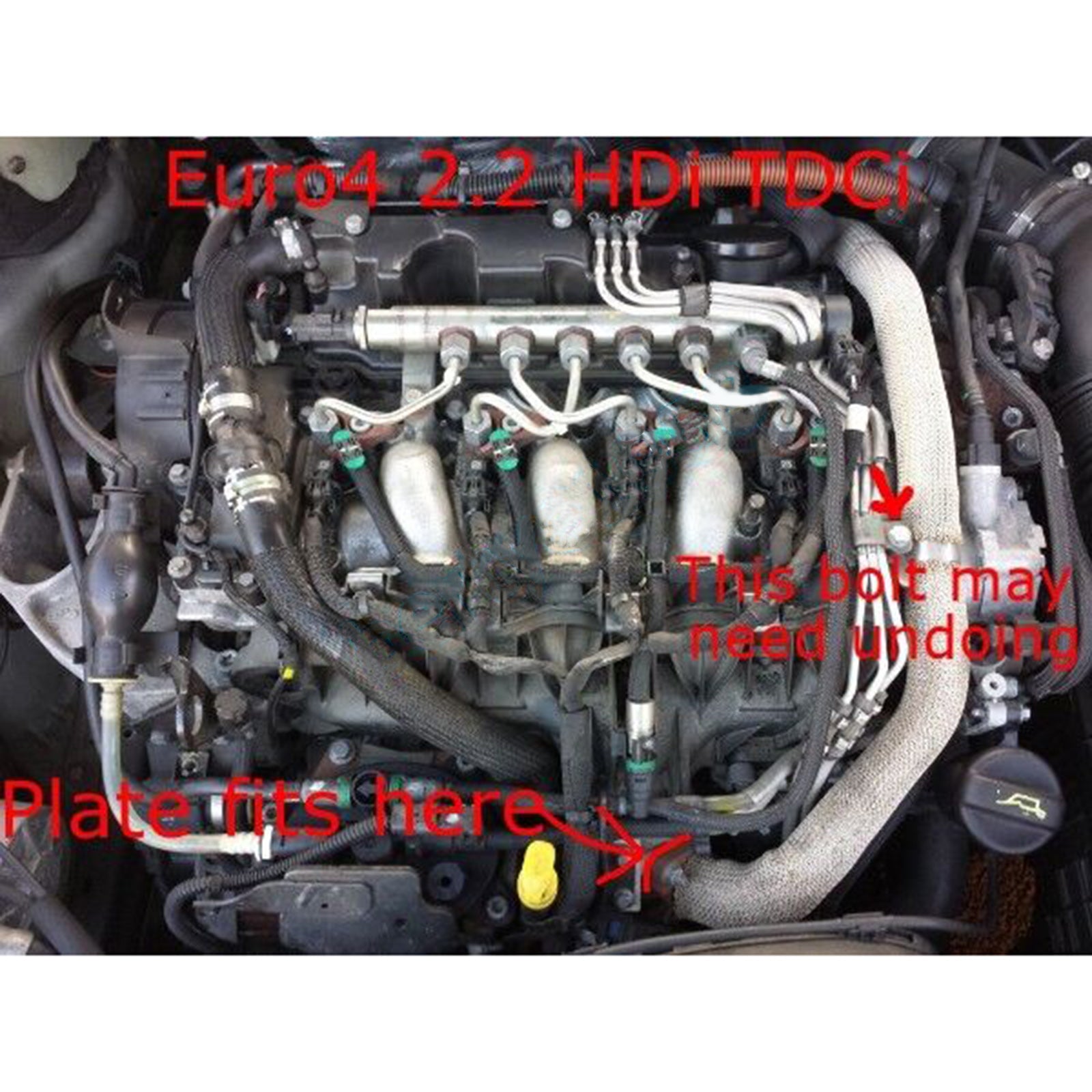 Plaque vierge de vanne EGR pour 2,2 l Freelander 2 Evoque TD4 TD4e SD4 eD4 Discovery SD4