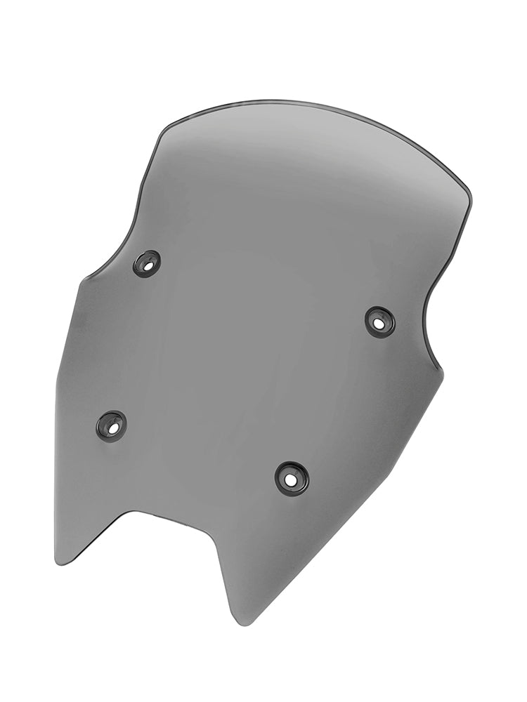 2015-2018 BMW R1200RS Windshield WindScreen