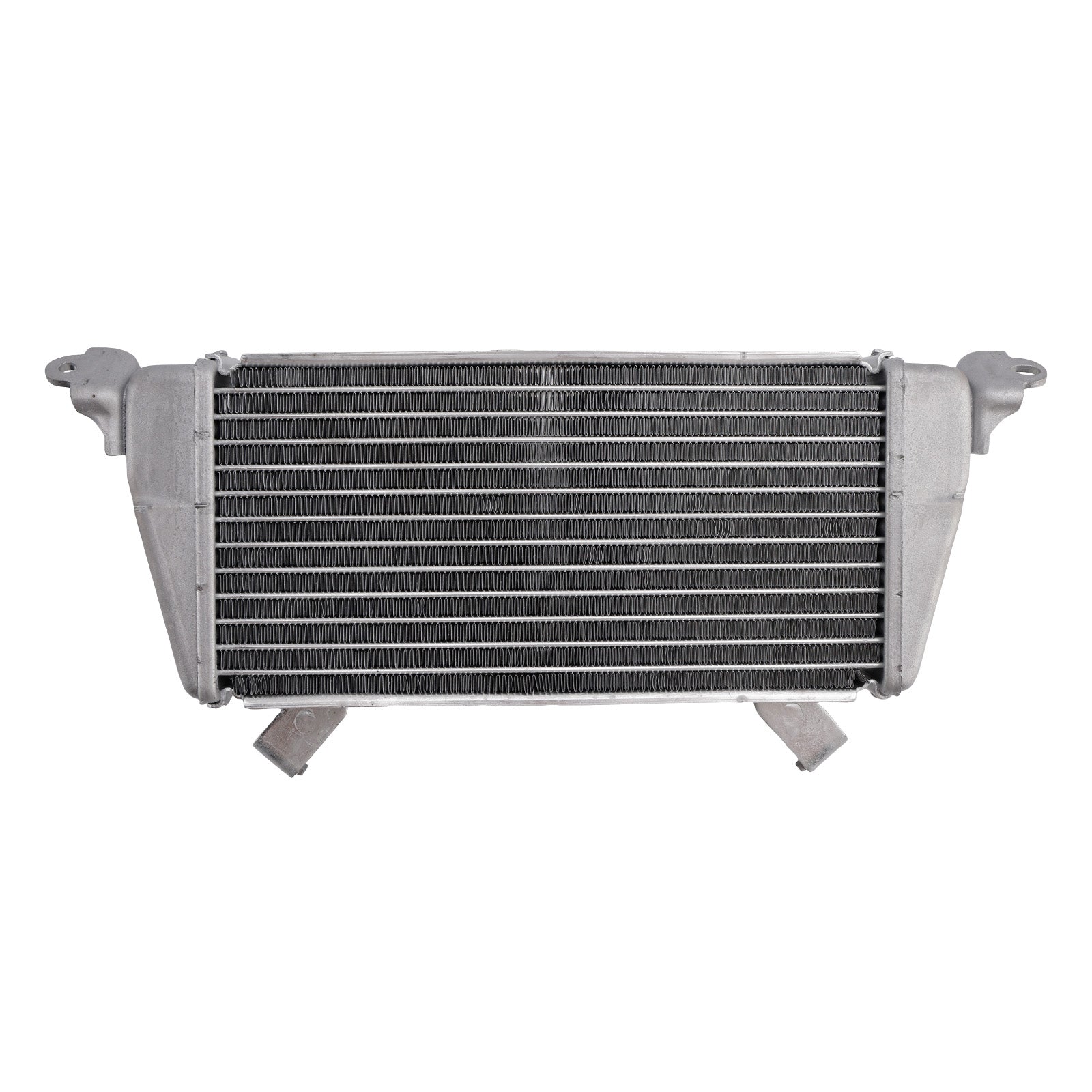Radiator Cooler Cooling Fit For BMW S1000R M1000RR 21-25 S1000RR 19-25