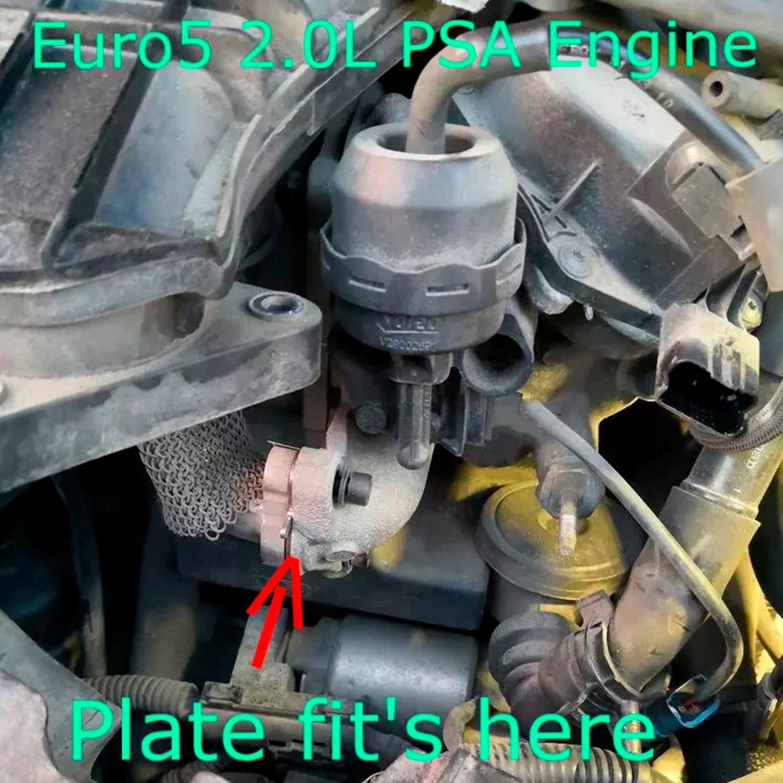 Plaque d'obturation de vanne EGR pour Ford Mondeo Kuga Focus 2.0L TDCi Euro5 DW10CTED4