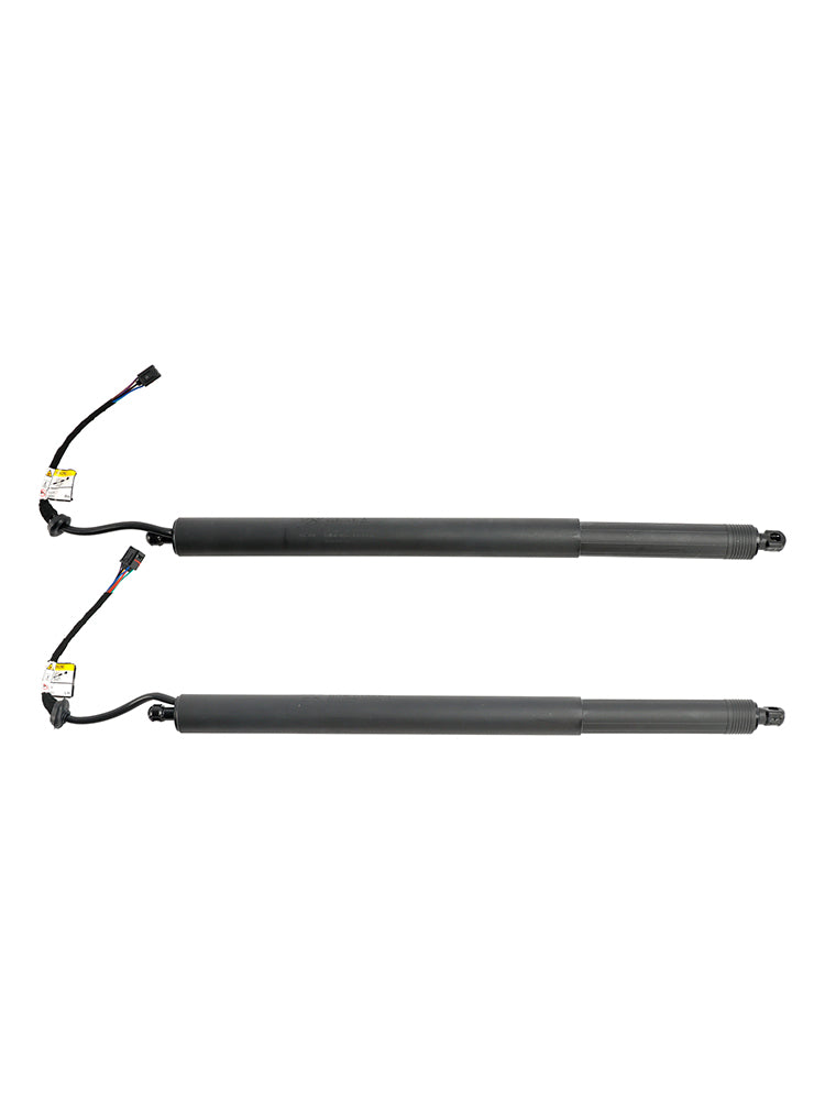 2020-2022 Hyundai Palisade 2PCS Support de levage pour hayon électrique 81831-S8100