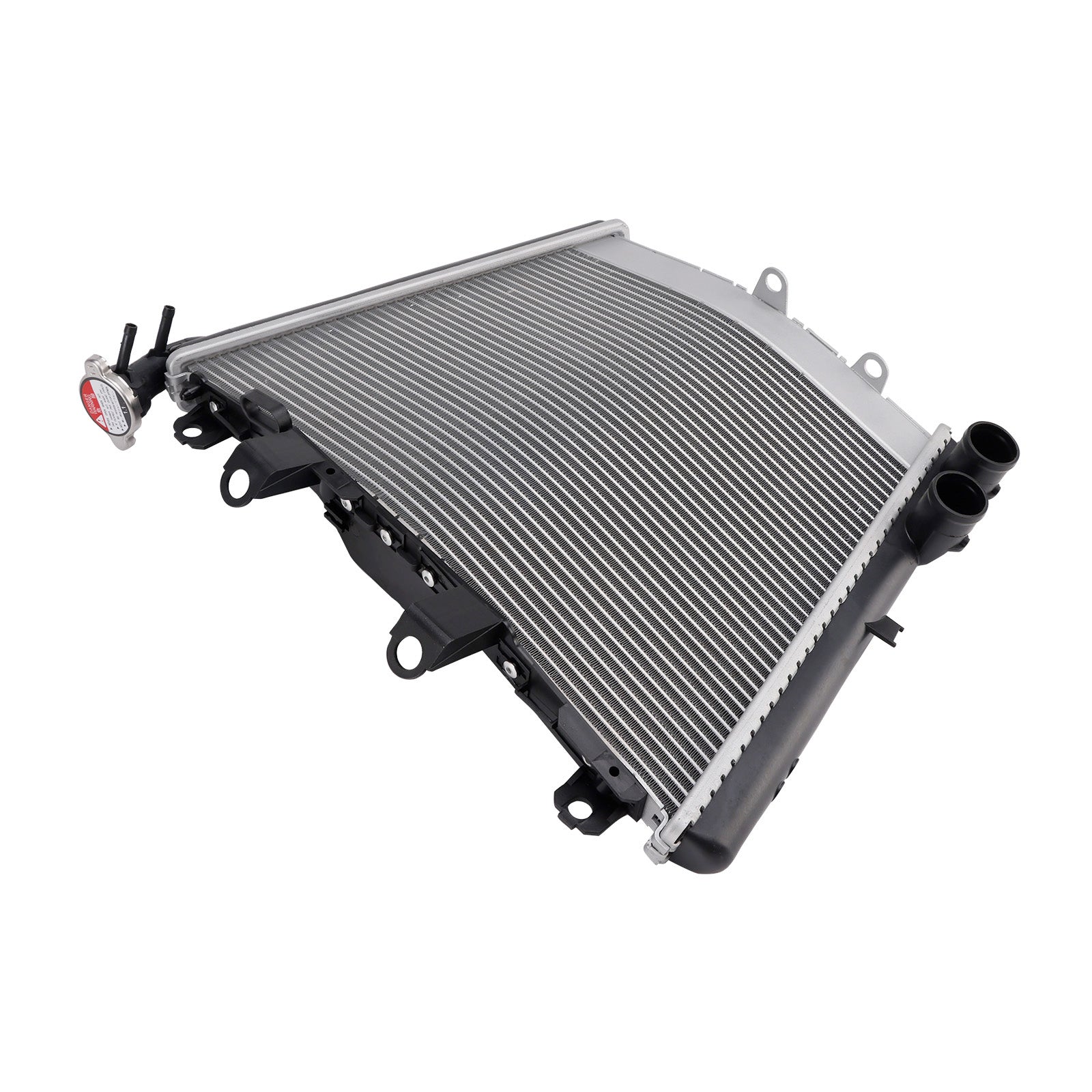 2021-2025 BMW M1000RR Radiator Cooling Engine Cooler