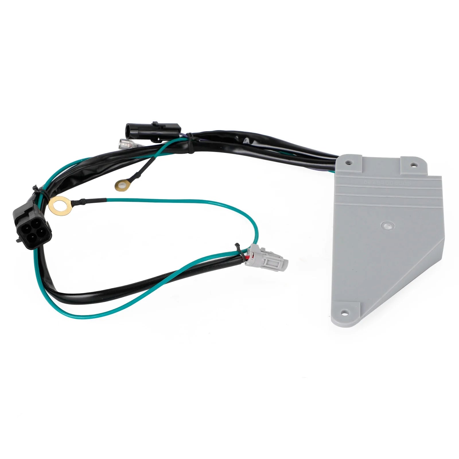 Montagem da unidade de controle IMGL/9510 Etapa Controle para Kwikee Electric Etapa 909510000