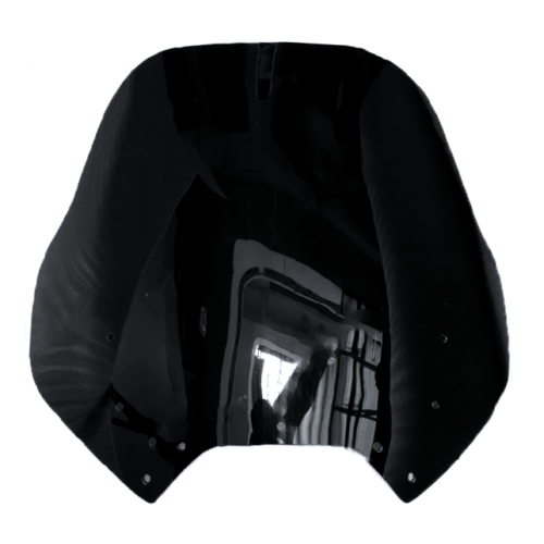 2001-2006 Yamaha FJR 1300 Fairing Kit Bodywork Plastic ABS