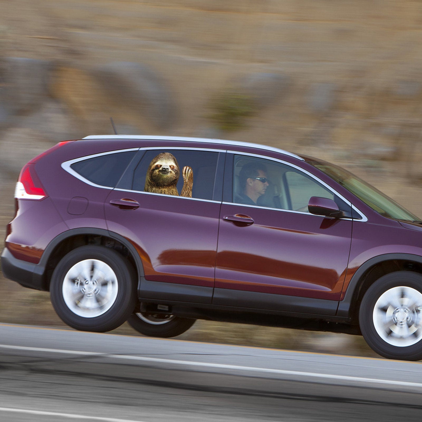 Autocollant de fenêtre de voiture taille personne côté passager droit paresseux agitant drôle universel générique