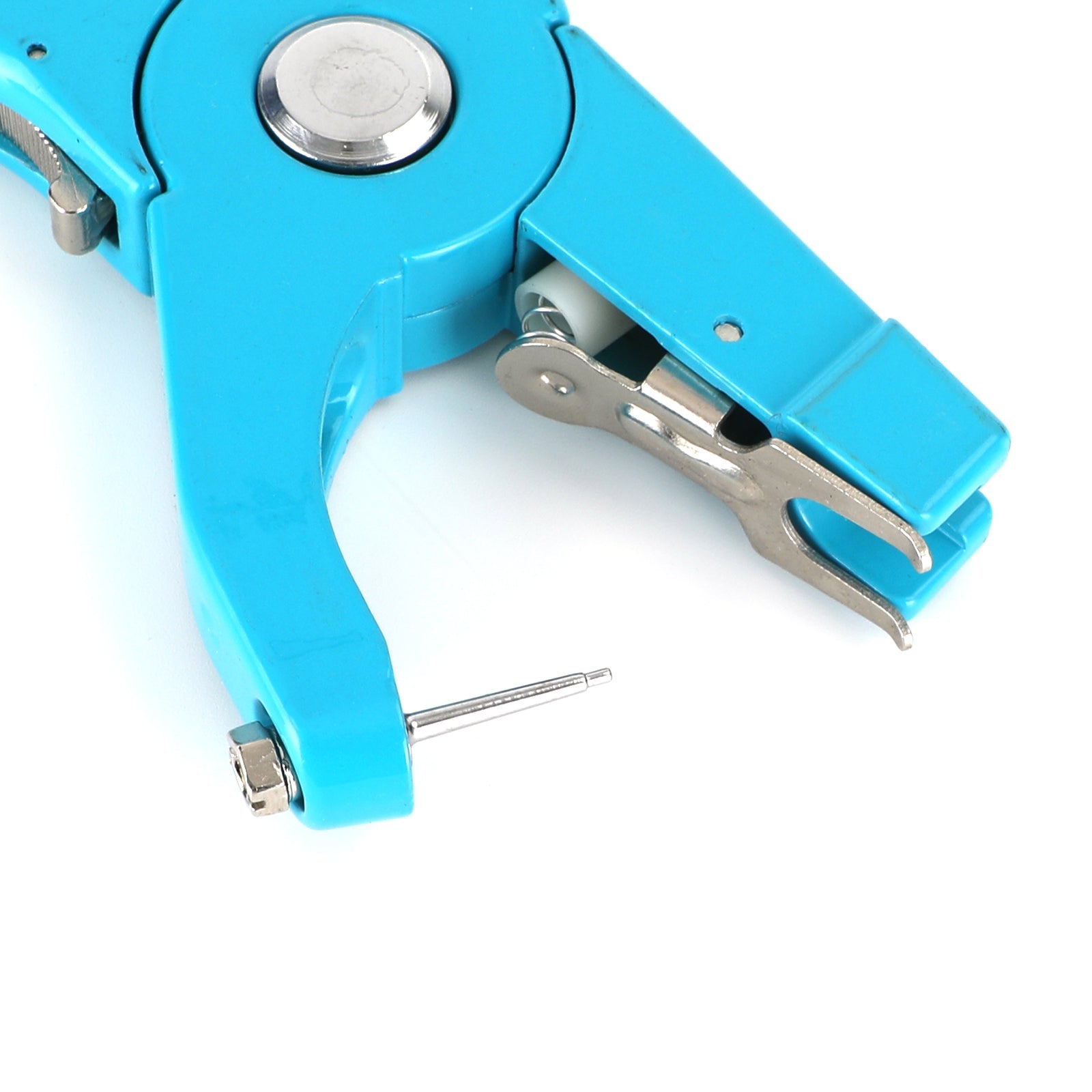 Kliešte na uši zvierat