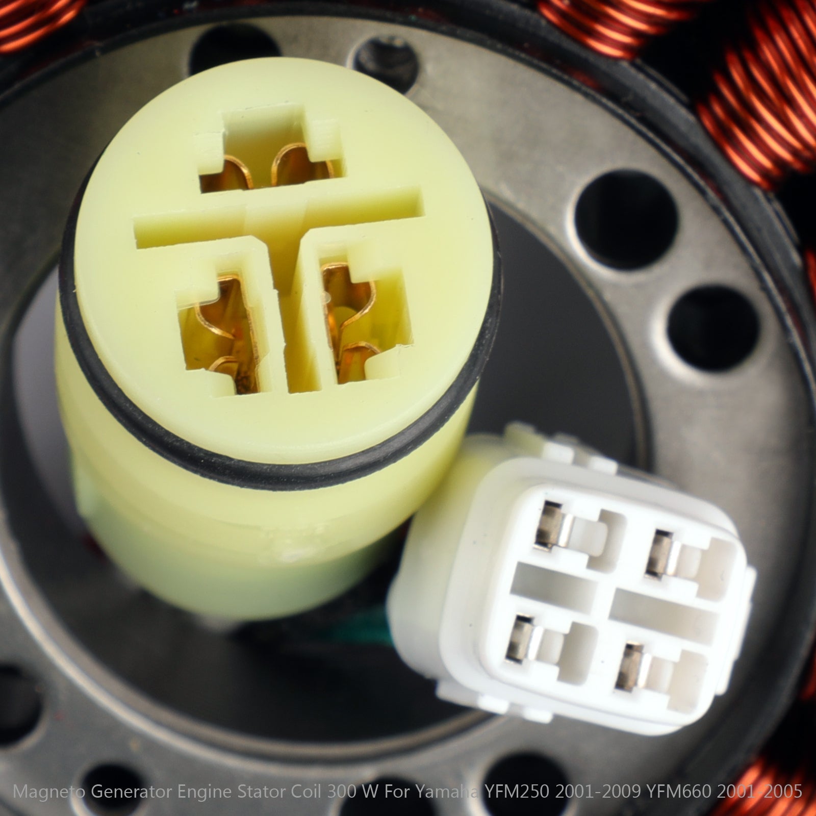 Magneto Generator Stator Coil for Yamaha YFM250 01-09 YFM660 01-05 1P0-H1410-00 Generisk