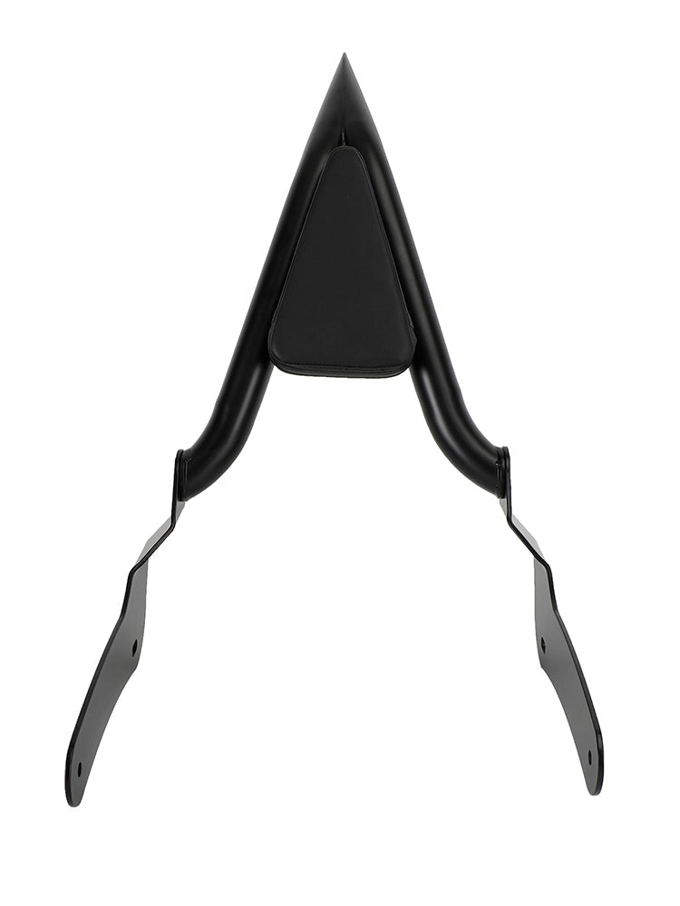 Honda Rebel 500 300 CMX500 CMX300 2017-2020 Dossier Sissy Bar Passager