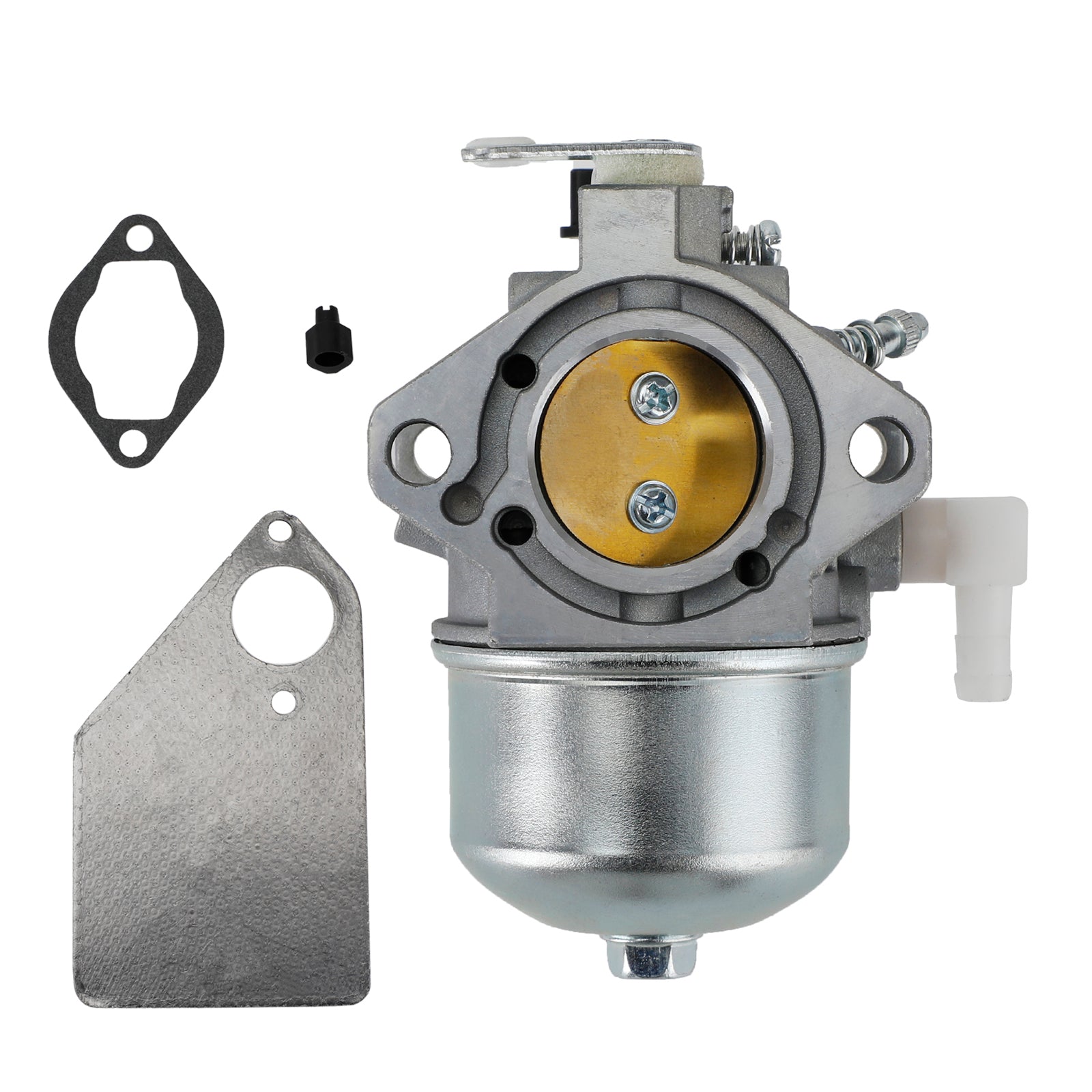 Carburateur Carb geschikt voor 799728 498027 495706 494502 494392