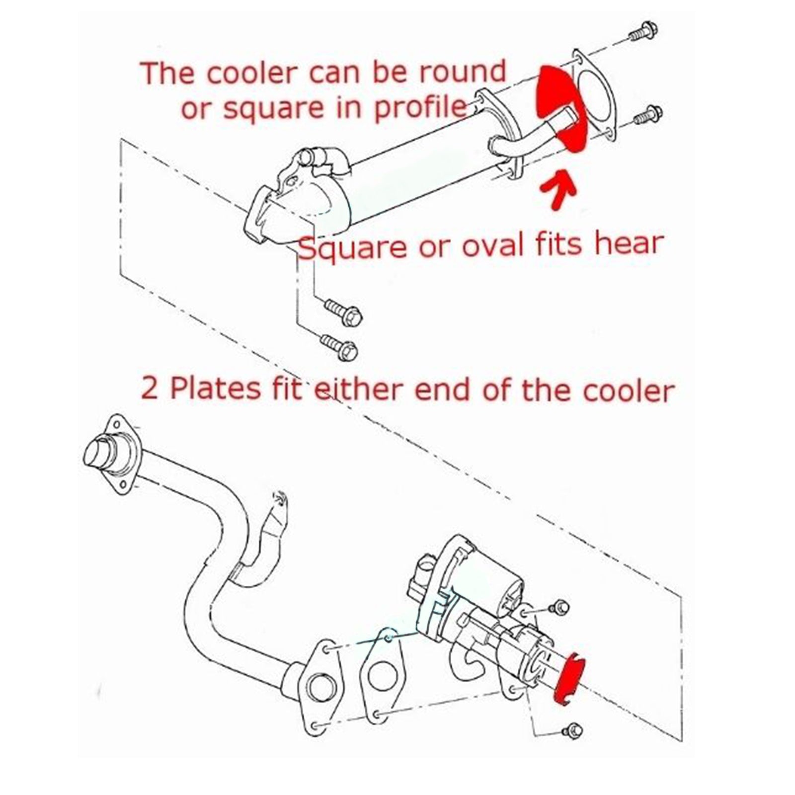 EGR-klep en koeler blanco kit voor MK7 Mk8 TRANSIT 2.2 2.4 3.2 TDCi Duratorq ZSD-422/4