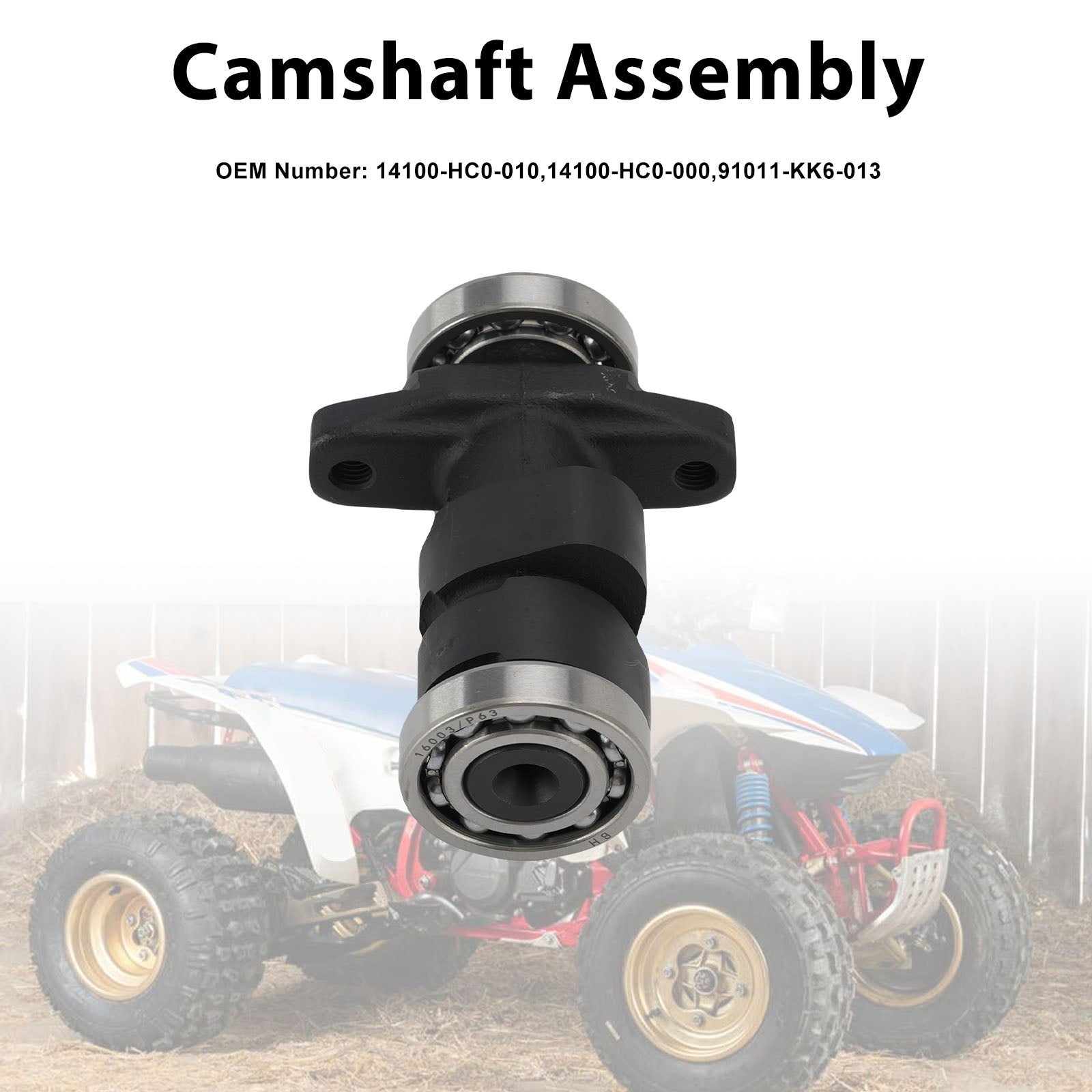 Camshaft Assembly For Honda Trx250x Fourtrax250 Trx300ex Sportrax300