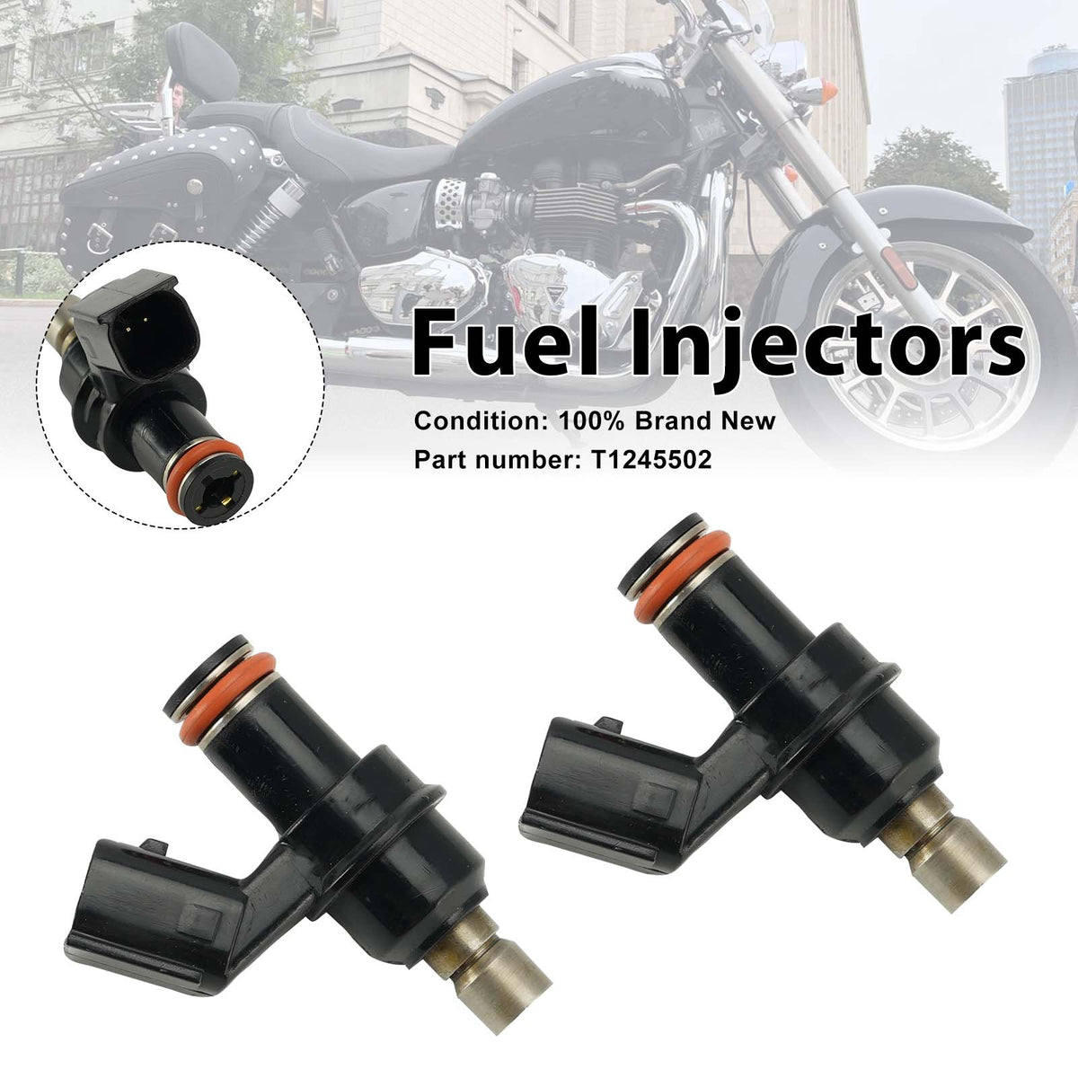 2008-2022 Triumph Bonneville T100 EFI 2PC Fuel Injectors T1245502 Generic