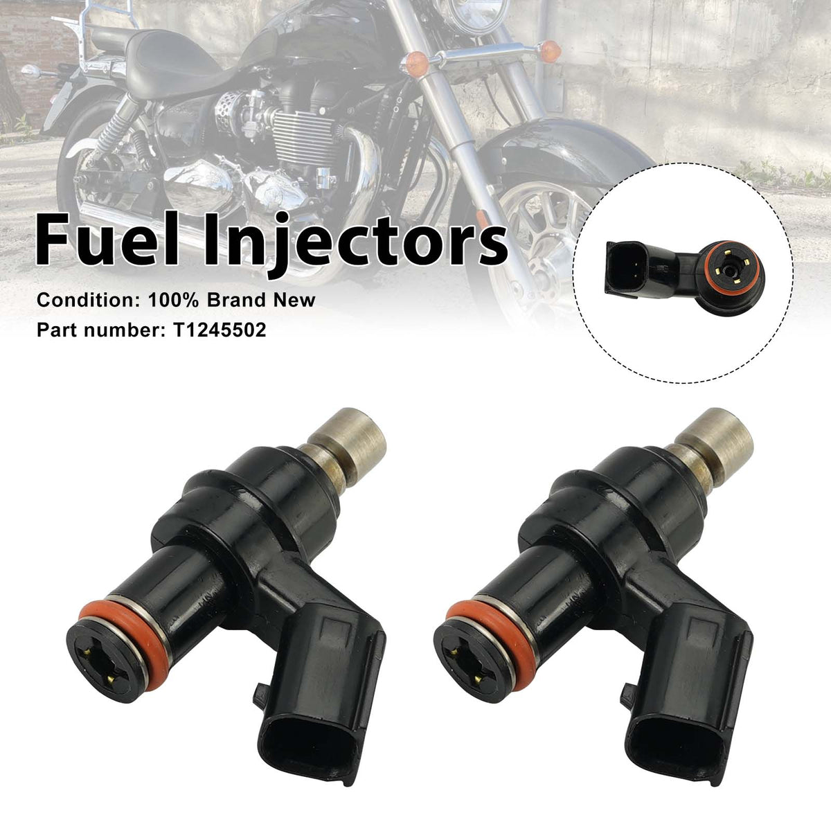 2008-2020 Triumph America EFI 2PC Fuel Injectors T1245502 Generic