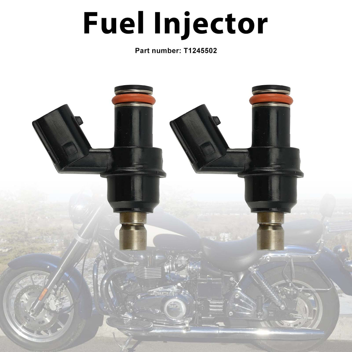 2008-2020 Triumph Thruxton 900 EFI 2PC Fuel Injectors T1245502 Generic
