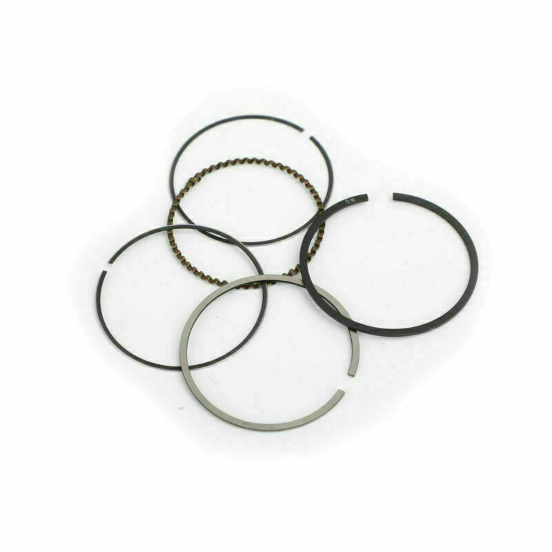 2006-2009 Honda CHF50S Metropolitan STD 38.00mm Piston Rings Pin Clips Kit 13101-GET-670 Generic