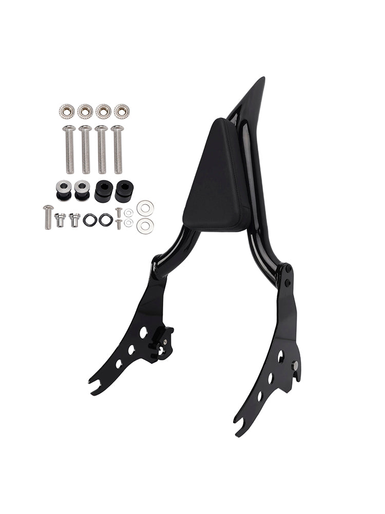 2021-2024 FXBBS 114 Passenger Sissy Bar Ryggstöd