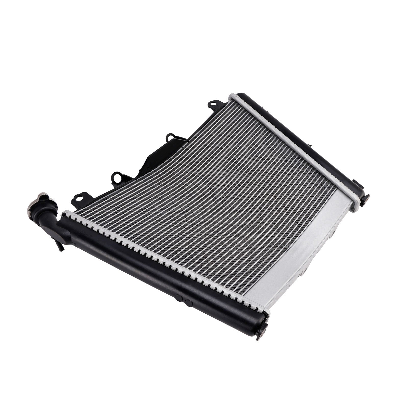 2021-2025 BMW M1000RR Radiator Cooling Engine Cooler