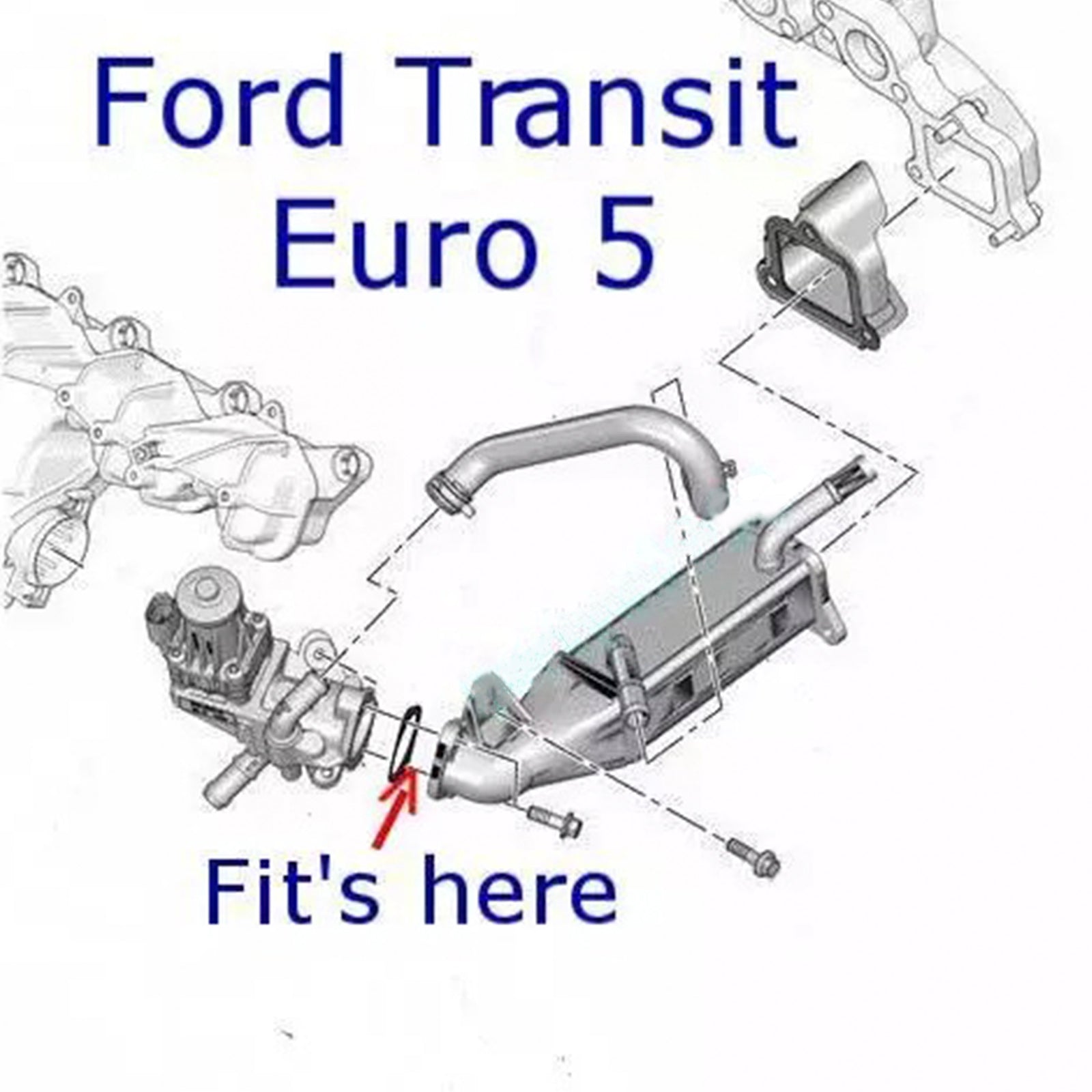 2011 op Ford Transit Custom Euro5 & 6 2.2L 2.4 TDCi EGR-klepblokplaat