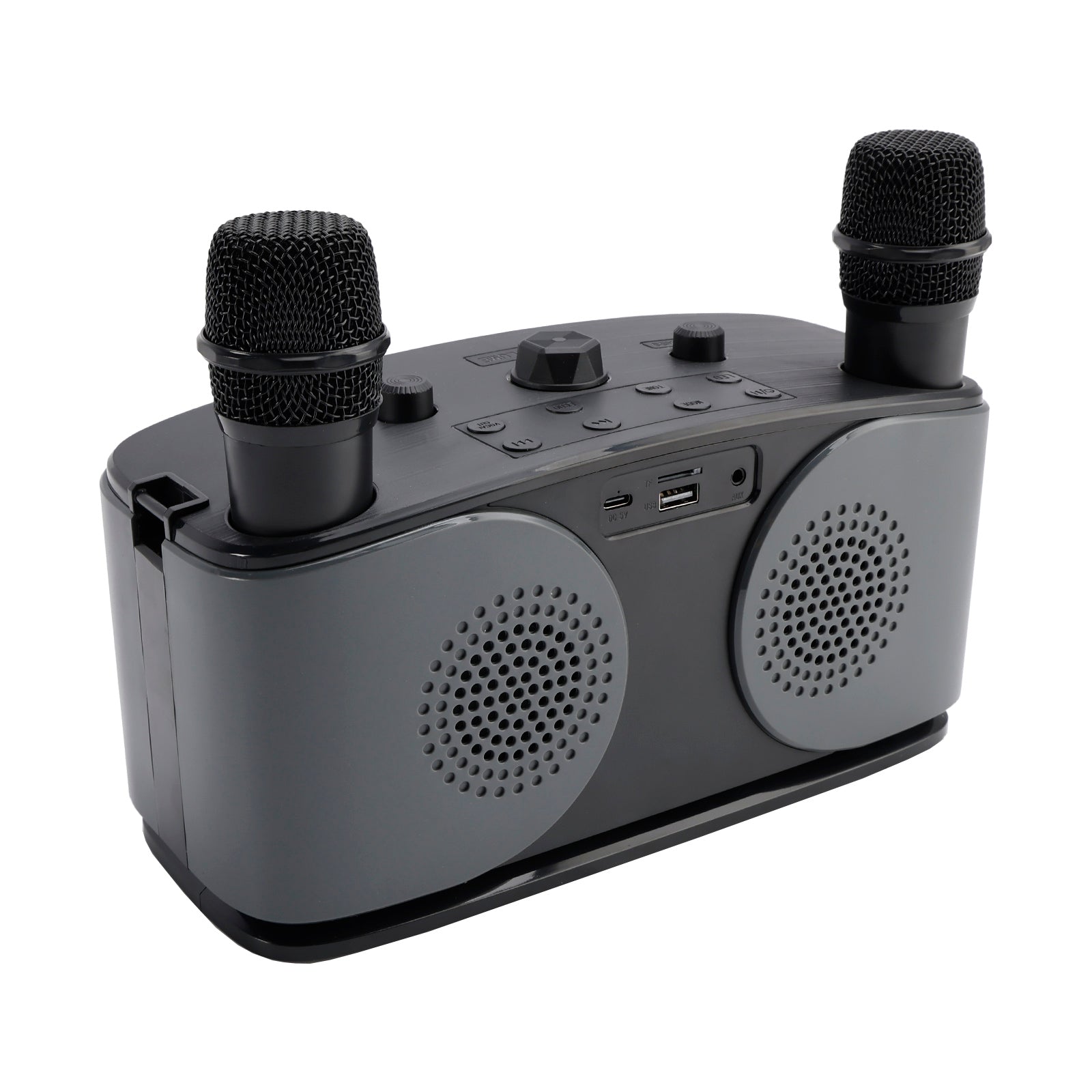 Wireless Bluetooth Speaker High Power Dual Microphone Karaoke All-in-One Audio