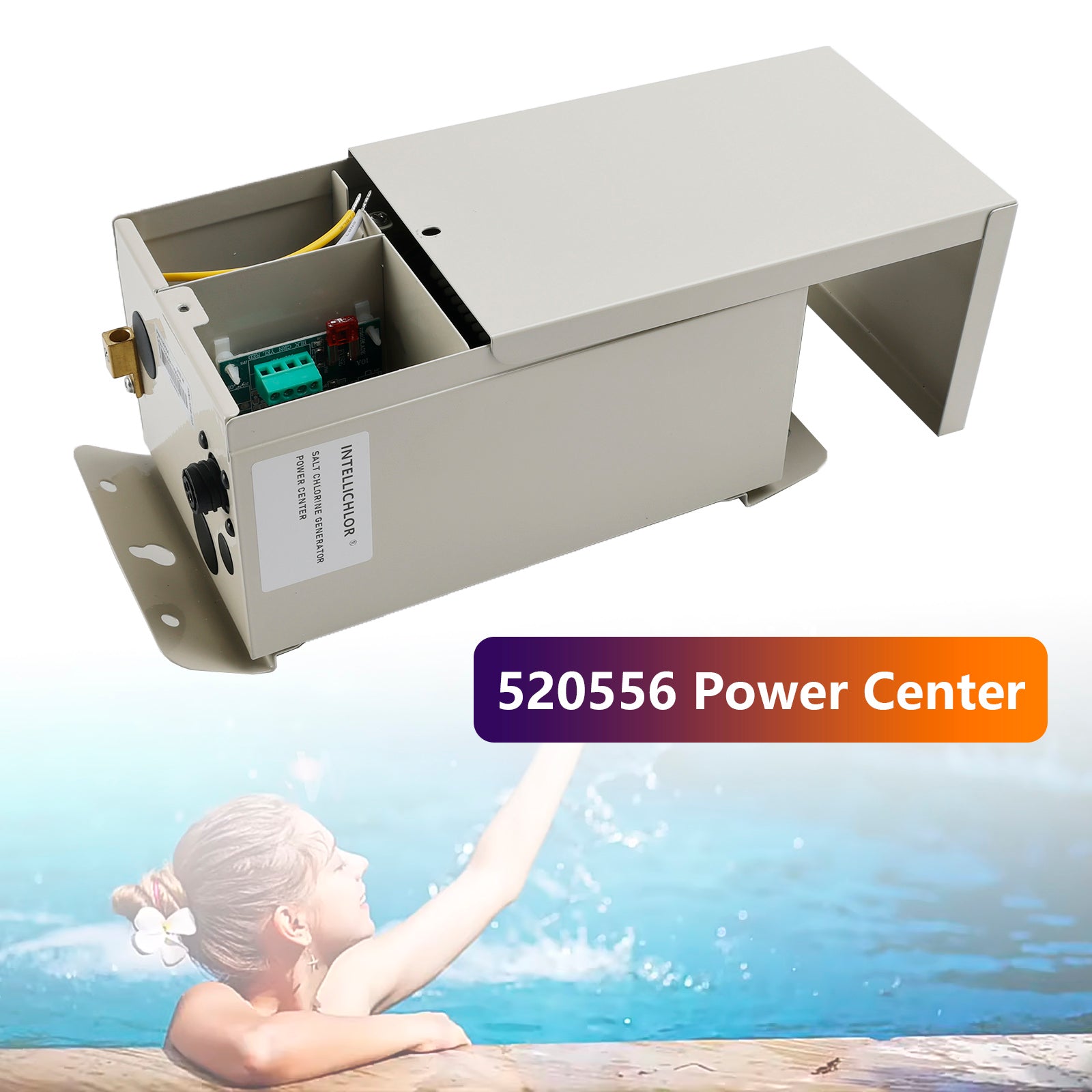 520556 Power Center voor Pentair IntelliChlor IC20 IC40 IC60 chloorgenerator