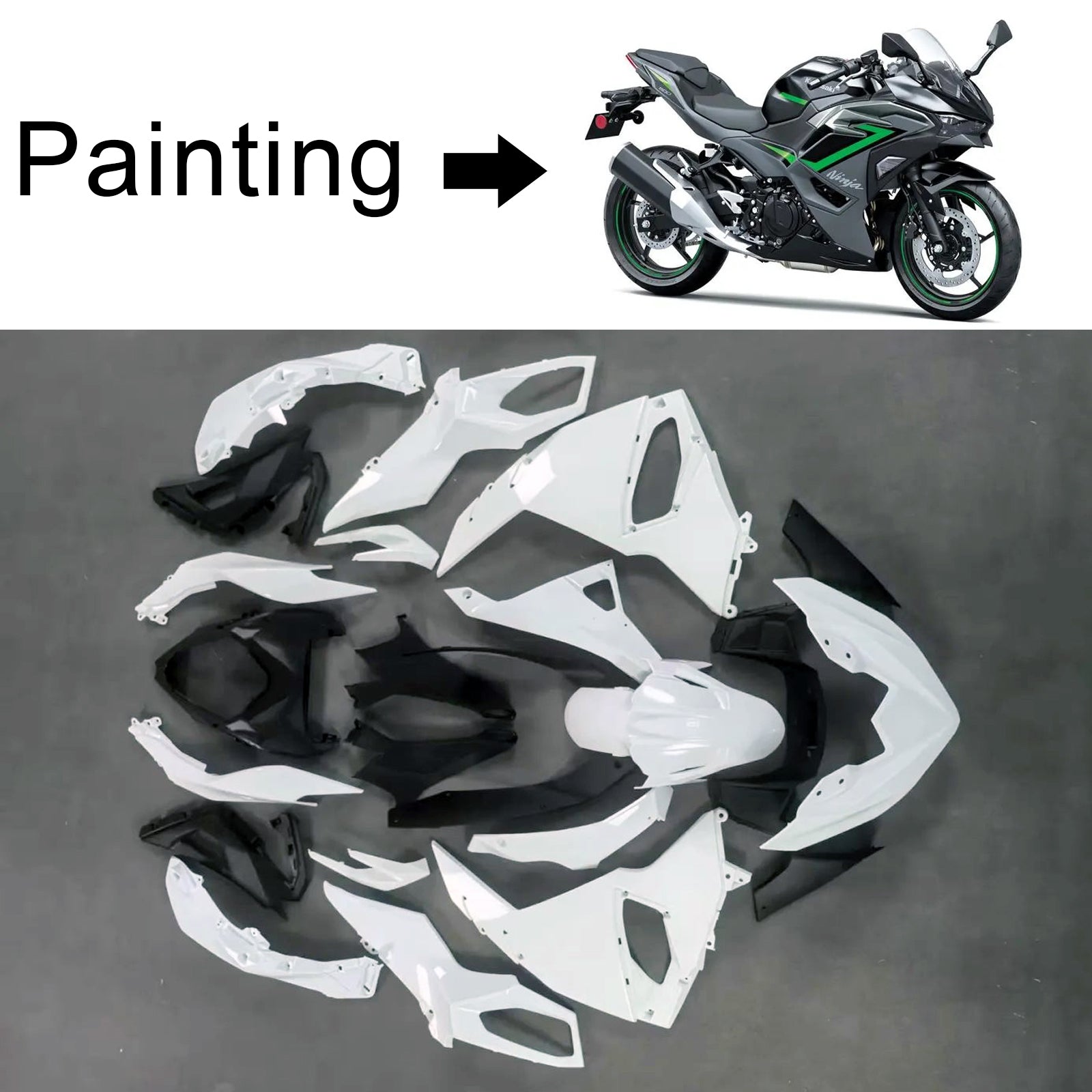 2024-2025 Kawasaki Ninja 500 Injection Fairing Kit Bodywork ABS