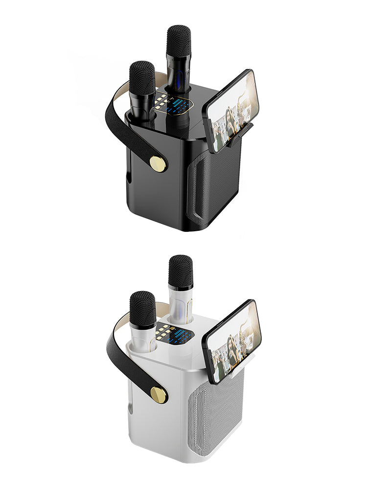Draadloze Bluetooth-luidspreker Dubbele microfoon Karaoke Home Draagbare karaoke-luidspreker