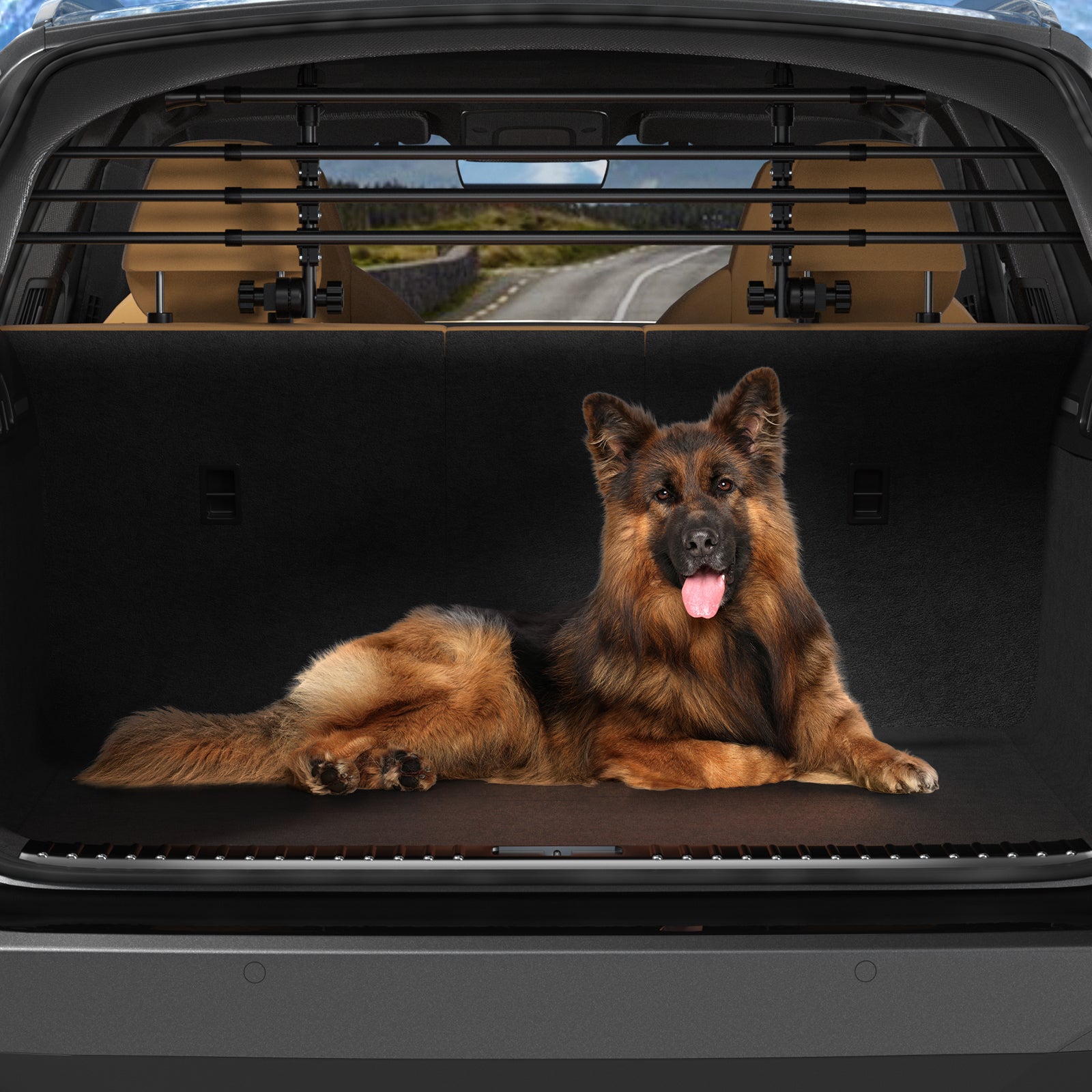 Universell bagasjeromsgjerde for hund/kjæledyrskillevegg for biler, SUV-er & Stasjonsvogner